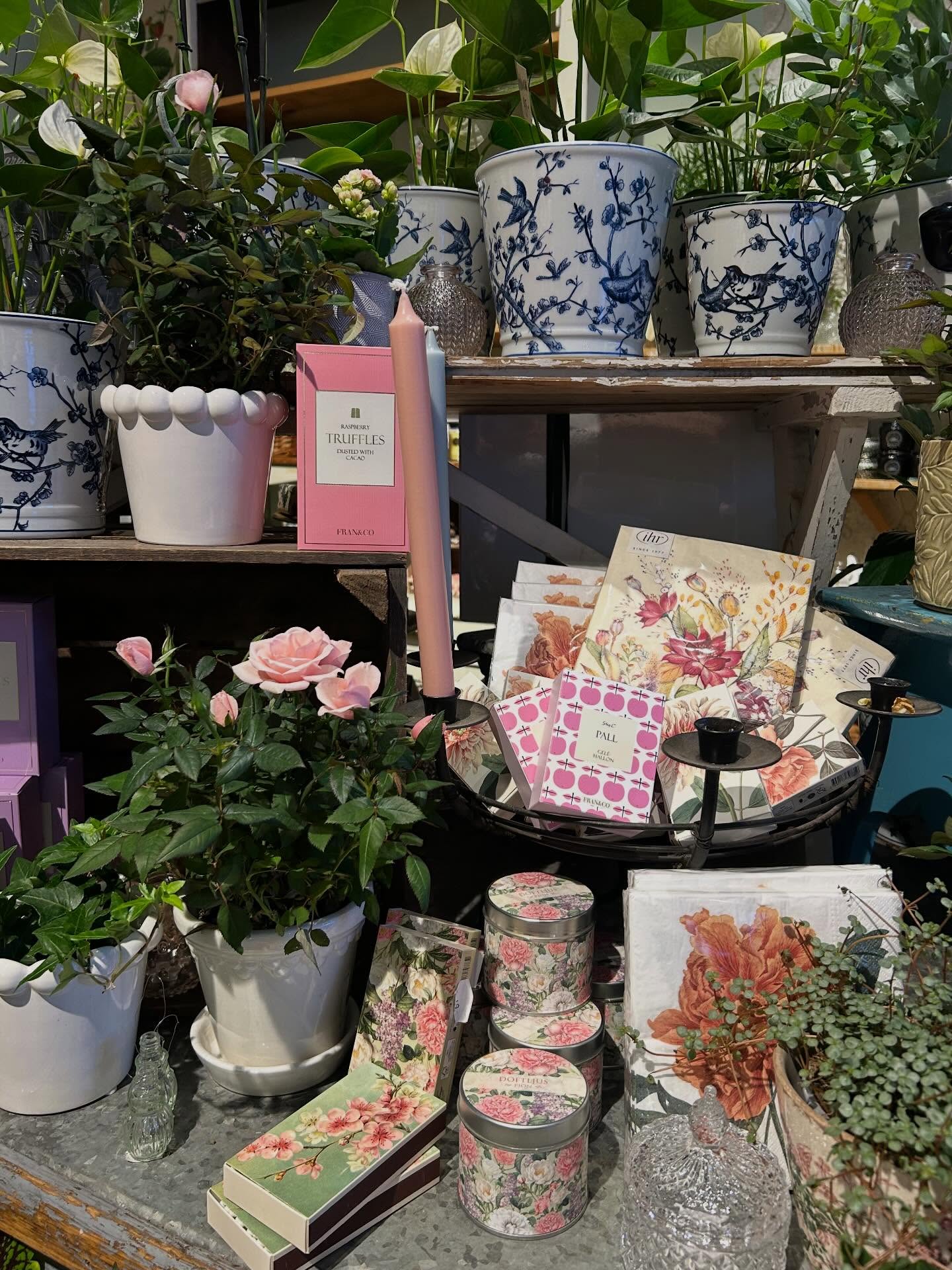 Välkommen in till oss idag denna soliga lördag! Vi har öppet 10-16 och har fått in så mycket fint! Blommor, ljusstakar, godis och massa annat härligt 🙌🌿