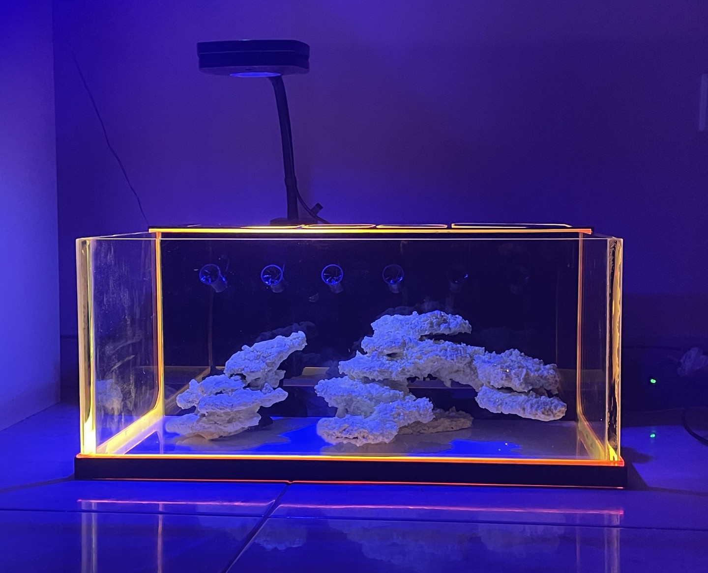 NEW PROJECT ALERT! 🔥
We're setting up our own large desktop tank and we're absolutely buzzing about it! Fluo orange frame with our premium resin reef rock creating the perfect foundation for an epic aquascape.
This is what we're building for ourselves - a stunning showcase of what our desktop tanks can do. The combination of our custom acrylic design and hand-selected resin rock creates a tank that's not just functional, it's a proper masterpiece! 🪨✨
Every detail has been carefully planned, from the frame design to the rock placement. This personal project proves that our desktop tanks deliver stunning visuals and optimal flow every single time.
Want to build YOUR dream tank? Hit us up and let's make it happen!
🌐 www.thepolyppros.eu
🌐 www.thepolyppros.co.uk
#thepolyppros #desktoptank #reeftank #aquascaping #fluoroorange #resinreefrock #acrylictank #coralkeeper #reefkeeping #aquariumdesign #fragtank #reefnerd #aquariumhobby #marineaquarium #coralfarm #aquariumsetup #tankgoals #reefaddict #allmymoneygoestoreef #ilovemyjob #reef2reef #coraladdict #aquariumlife #customdesign #marinelife #underwaterworld #newproject #reefsetup