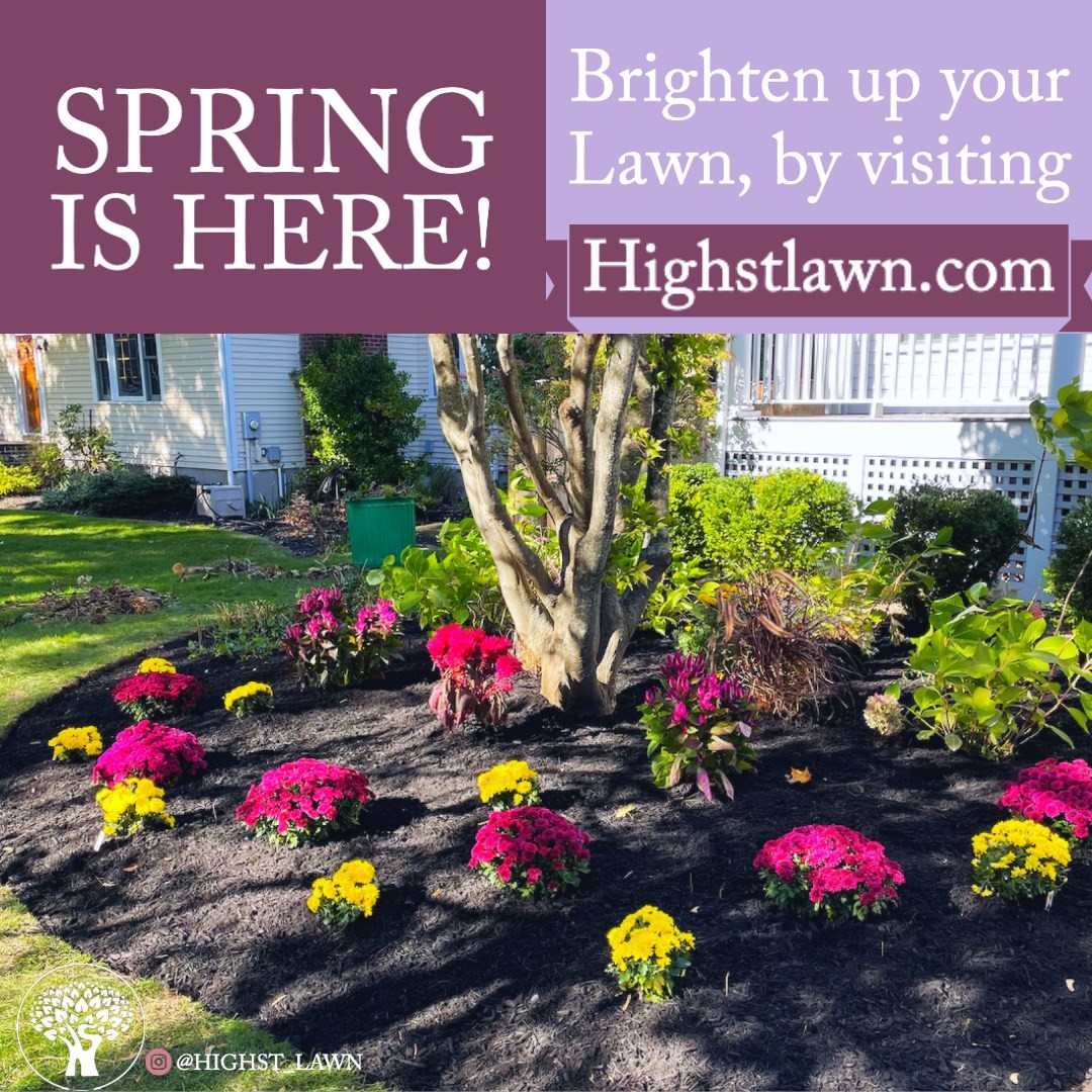 With Spring finally here, the flowers are blooming and it's time to get moving.
Don't wait to design your ideal flower garden💐
#highstlawnunlimited #concordma #Landscaping #lawncare #garden #spring