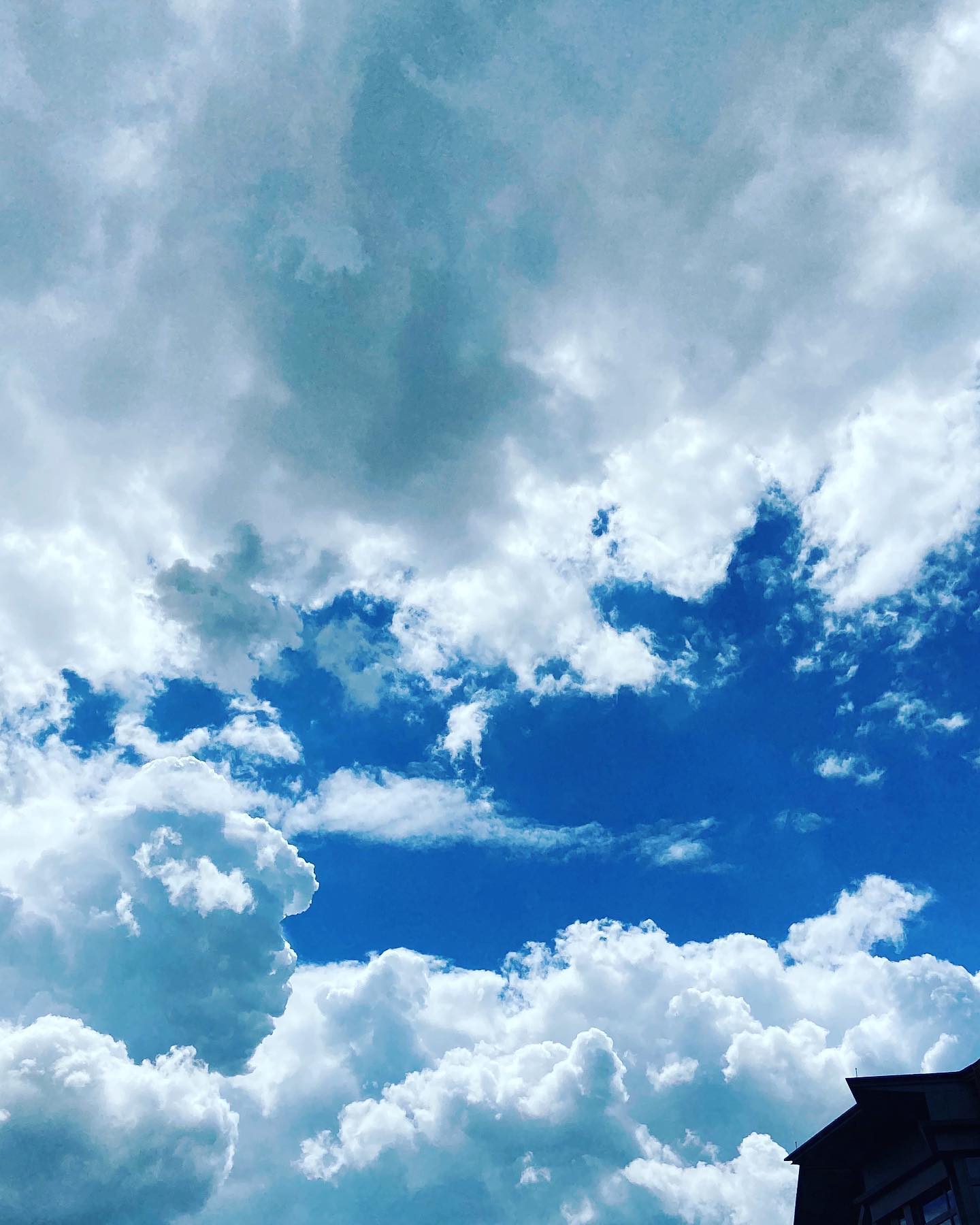 Took this outside the Union at The Ohio State University. 🥰