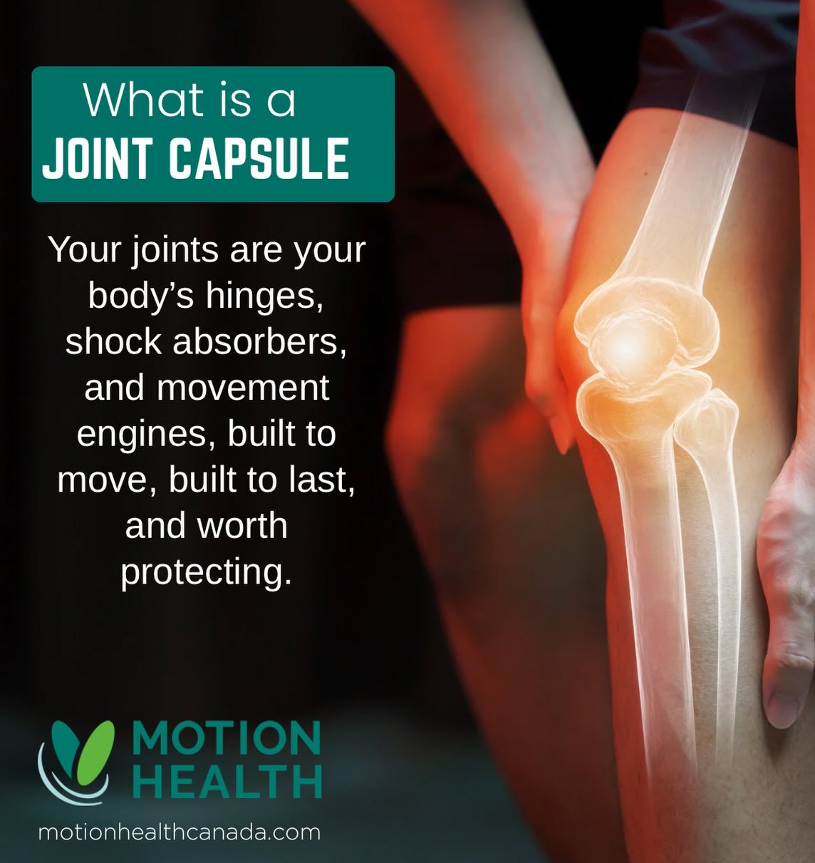 What Is a Joint Capsule?
Your joint capsule is like a protective sleeve around your joints. Inside it, cartilage cushions the bones, and synovial fluid keeps the joint moving smoothly.
Unlike most tissues, cartilage doesnāt have its own blood supply, so it depends on movement and proper nutrition to stay healthy.
Thatās why supporting your joints with the right nutrients is essential for protecting, maintaining, and repairing them over time.
Motion Health provides essential nutrients, supporting your joints by protecting and repairing cartilage and increasing synovial fluid, while decreasing inflammation.
#greenlippedmussel #preventrepairrestore
#motionhealth