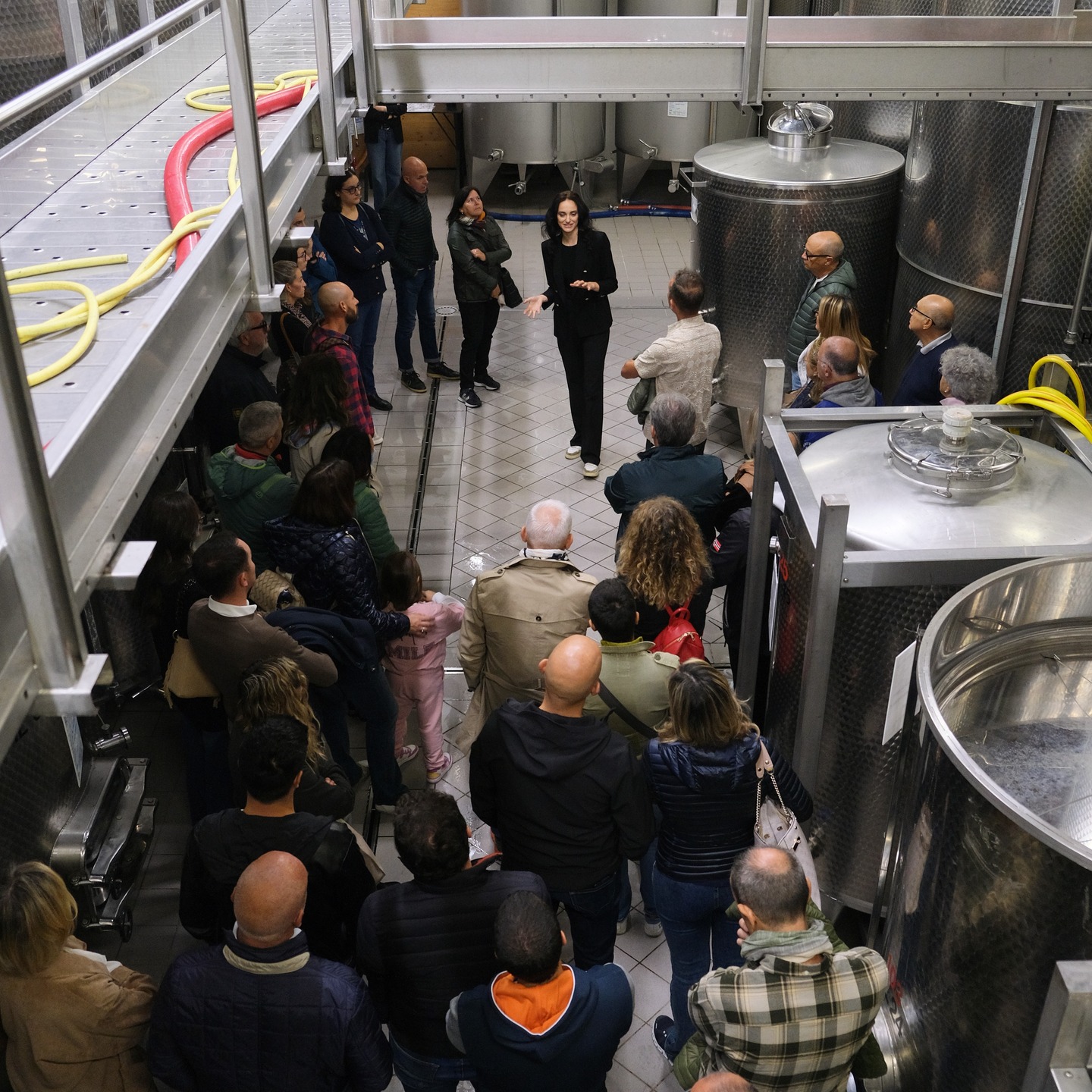 Entrare in cantina significa essere accompagnati da chi il vino lo vive ogni giorno. Le visite sono guidate direttamente da un membro della famiglia: un racconto autentico fatto di gesti quotidiani, scelte produttive e profondo legame con il territorio. Un’esperienza di accoglienza, trasparenza e condivisione, pensata per chi desidera conoscere davvero il vino, dalla sua origine.
PH @micdalll 🍷⛰️
#visitaincantina #accoglienza #cantinafamiliare #enoturismo #viticoltura #vinodimontagna #territorio #esperienzadelvino