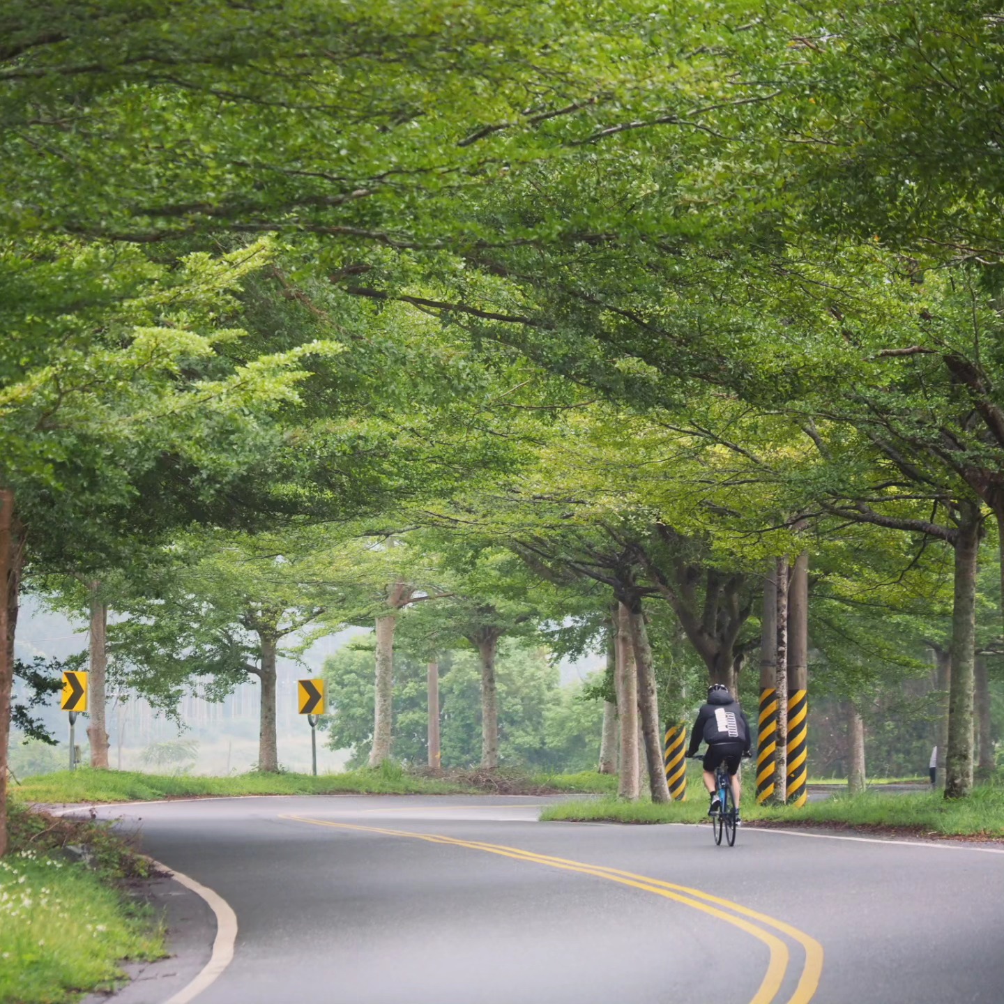 Ride on East of Taiwan
#LetsRideTaiwan
#Letsridetogether
#客製化單車旅遊
#花東縱騎