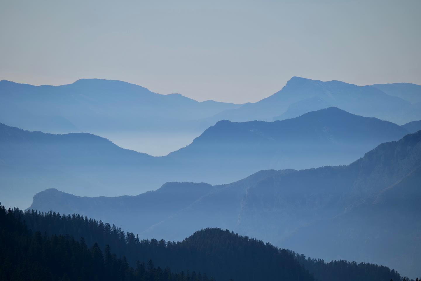 Une vue spectaculaire depuis les montagnes
L'atmosphère bleutée et la forêt environnante créent une ambiance magique.
#paysage #montagne #landscape #nature #photographie #forêt #atmosphère #bleuté #explore #aventure #pleinair #rêve #lumixfr #lumix #sigmafrance #natgeolandscape #magique