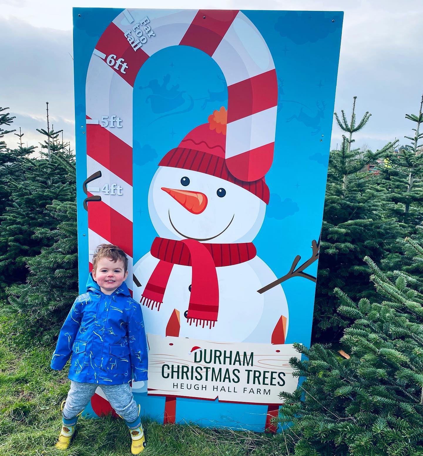 ☃️ Open from 10.30am - 3.30pm today and all weekend, come along to find your perfect tree 💫
Products / services available:
🎄 Norway Spruce & Nordmann Fir available in our pick your own plantation
🎪 Our pre cut Nordmann Fir & pot grown range are displayed under shelter this year, located next to our plantation
☕️ Refreshments are available
🐶 Dogs welcome on a lead
🚗 Deliveries starting at £5
🌟 See our website for further details durhamchristmastrees.co.uk
📸 Thanks to Steph Bagley
#outdooractivities #locallysourced #freshlycut #pickyourown #PYO #durham #christmastrees #northeast #durhamchristmastrees #heughhallfarm #smallbusiness #christmasiscoming #nordmann #fir #norway #spruce
