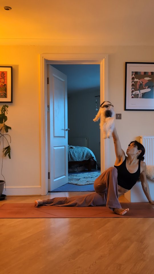 "No amount of meditation, yoga, diet, and reflection will make all of our problems go away, but we can transform our difficulties into our practice until little by little they guide us on our way" ~ Jack Kornfield
.
.
.
.
.
.
.
.
.
.
#yoga #meditation #practice #healing