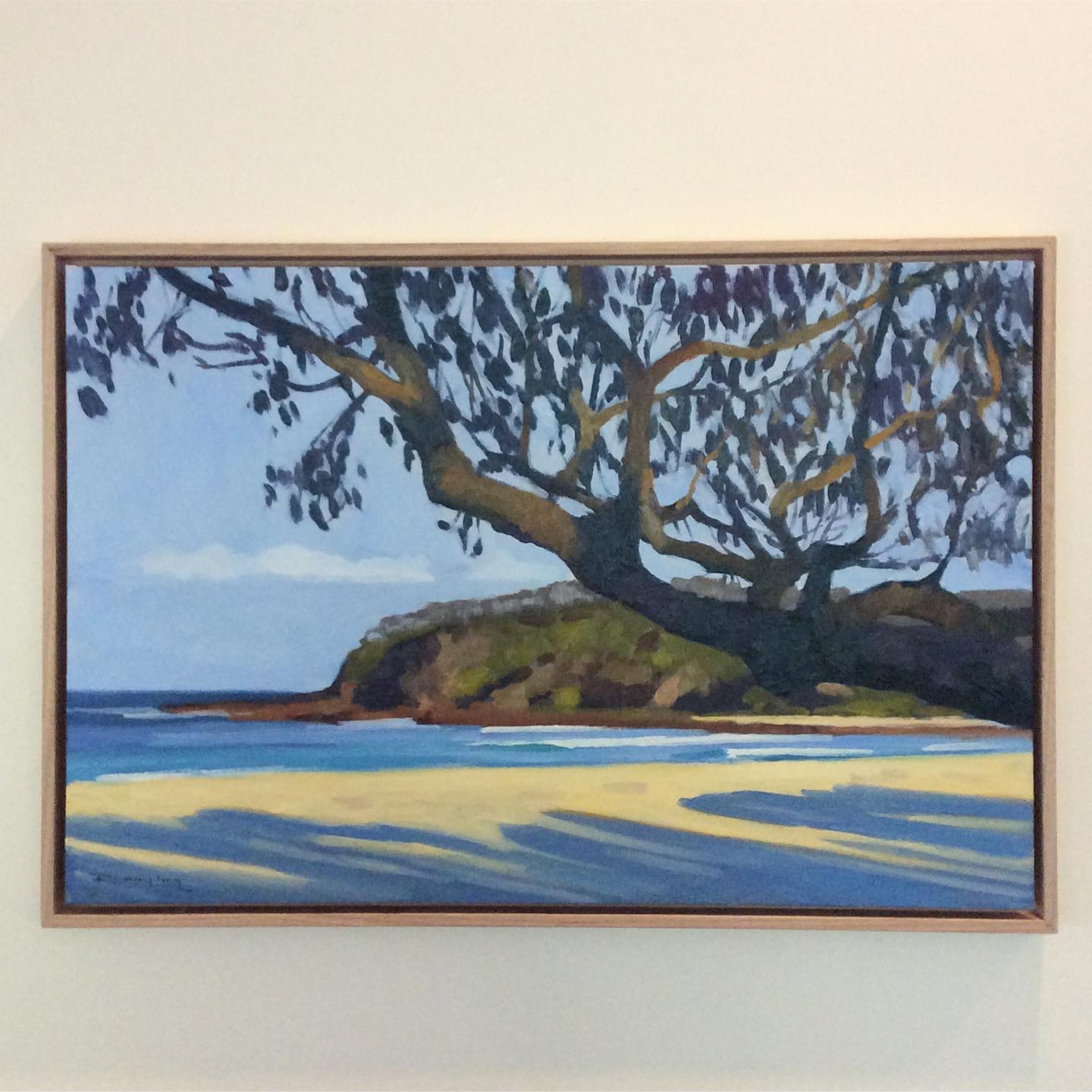 Old man Banksia overhanging at Saltwater Creek Beach #oilpainting #oiloncanvas #classicalart #sapphirecoast #benboydnationalpark #saltwatercreekbeach #begavalleyartist #southeastarts