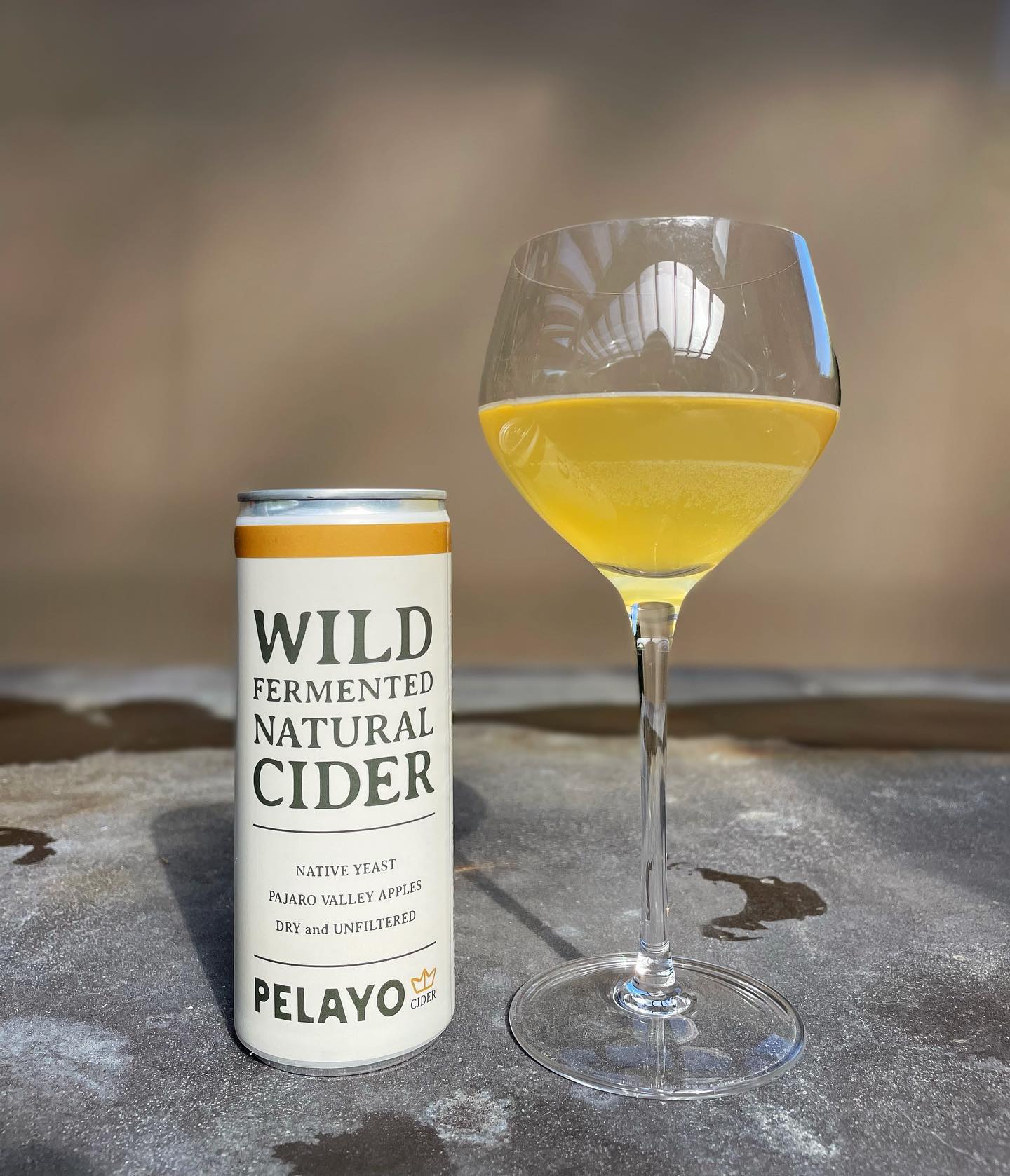 8 cans for $40?!
That’s over 2.5 wine bottles. Buy 24 cans and we’ll cover shipping! Link in bio to SHOP CIDER
#cider #sidra #naturalcider #sidranatural #naturalwine #apples #wildfermentation #spontaneousfermentation #nativeyeast #cannedwine