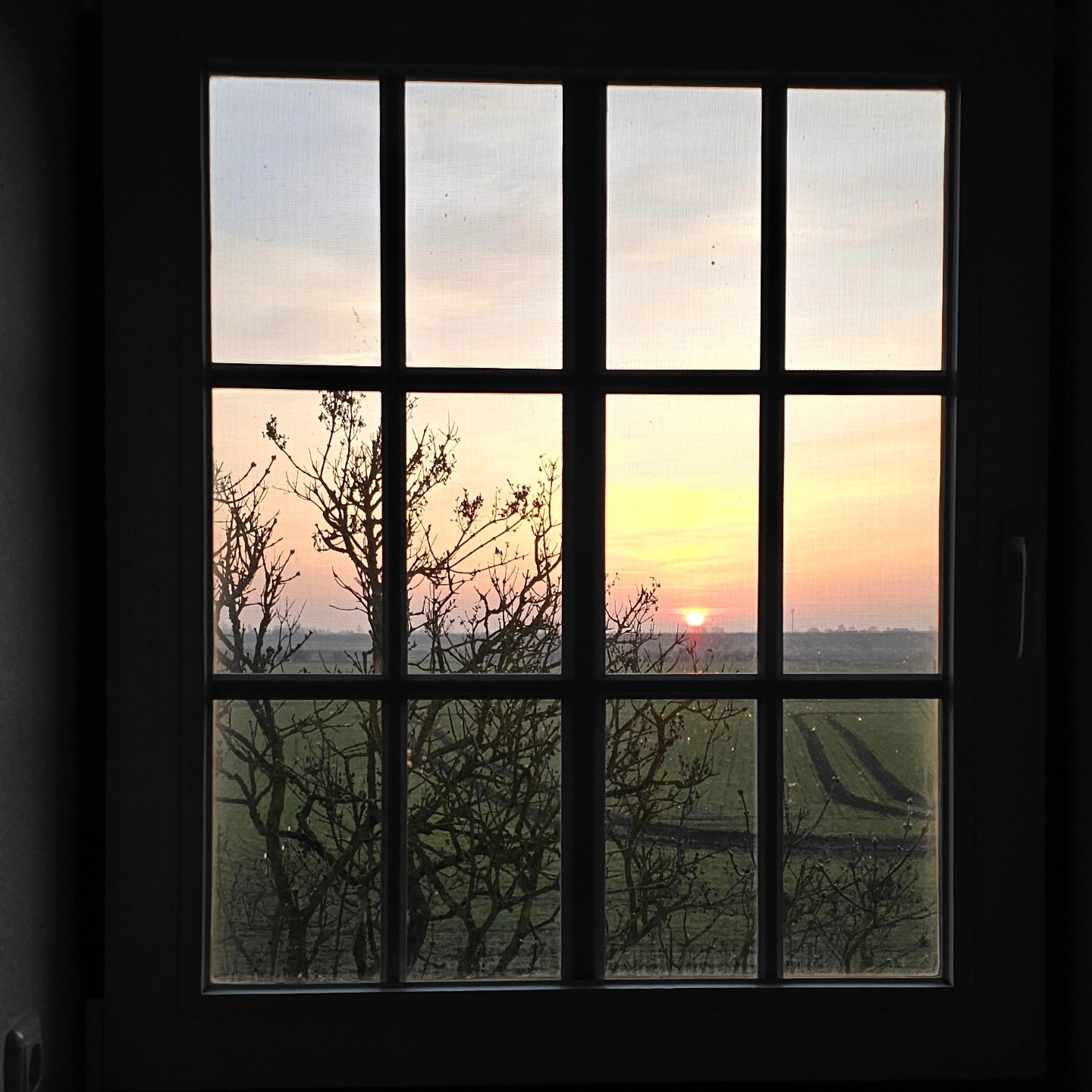 Wenn die Sonne einen am Morgen im Haus im Felde begrüßt...🌞
#hausimfelde
#Fehmarn
#sonneninselfehmarn
#Sonnenaufgang
#Albertsdorf
#ferienwohnungen
#ferienappartements
#Sonnenaufgang
#Morgengruß
#Windsurfen
#Kite
#Radfahren
#ostseeliebe
#Wingfoil