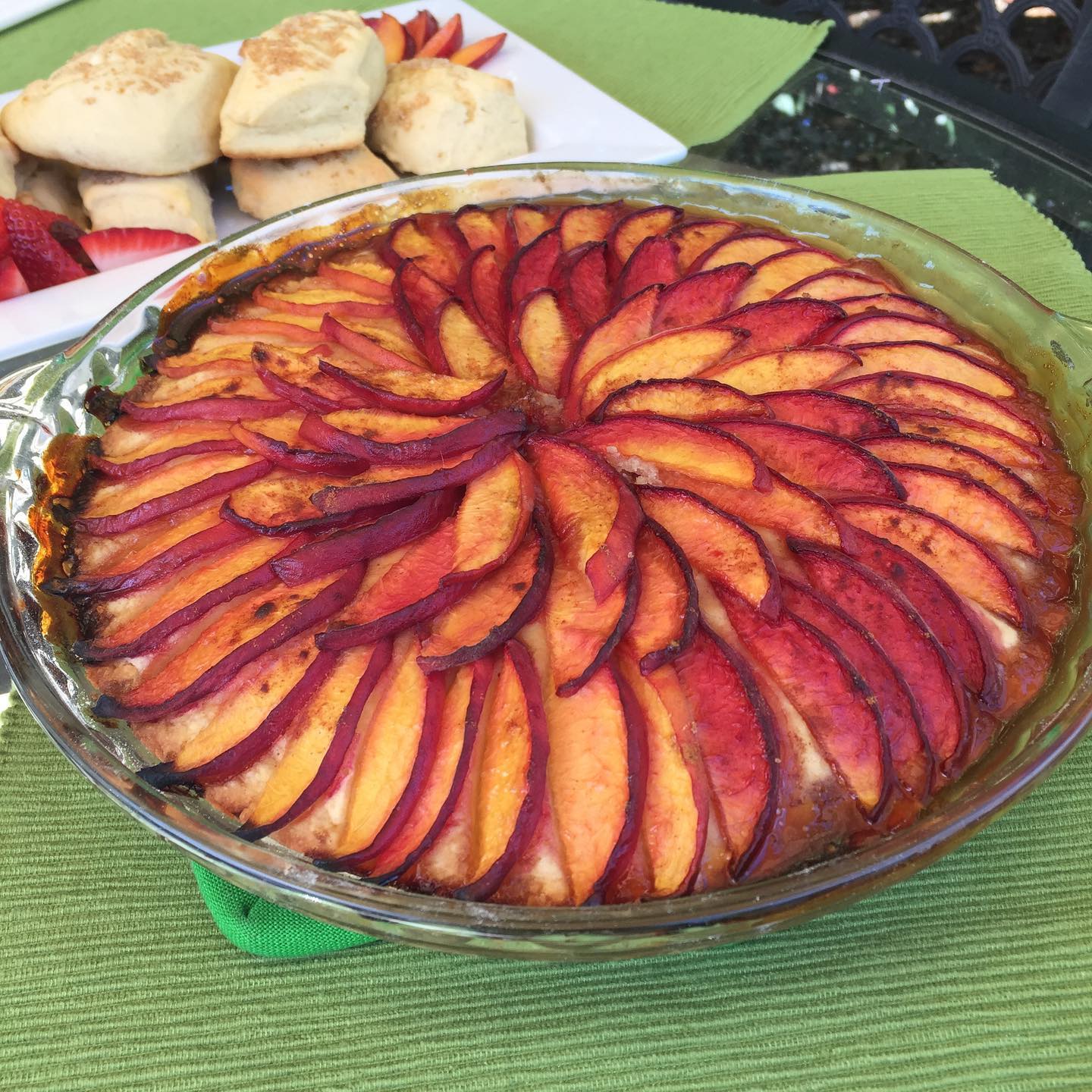 Waiting patiently to enjoy this Peach Kuchen @jennifer.eisenberg made this morning with @twinpeaksorchards white peaches from the @liveplacergrown farmerās market in Roseville. š š -
-
-
-
#placergrown #urbanfarming #hydroponics #verticalfarming #knowyourfarmer #cagrown #freshfood #healthyfood #urbanfarmer #mixedgreens #leafygreens #microgreens #organic #nogmo #planthealth #indoorfarming #aeroponics #growsomemicros #growsomeleafys #localfarmers #nutrientdense #peaches #peachtart