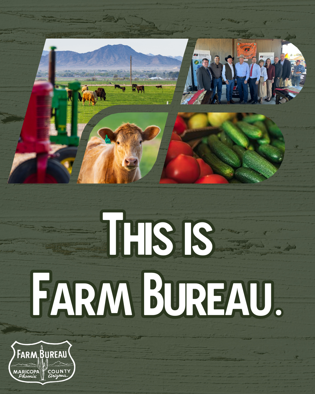 You're not a farmer or a rancher, but why is Farm Bureau important to you?
Farm Bureau gives a voice to agriculture. We share the stories of where your favorite foods come from while advocating for our farmers and ranchers at the tables where their voice is important. 📣
The benefits to Farm Bureau membership don't stop there. From discounts to professional development and leadership the opportunities within are endless! 💰️So you're not a farmer, but you still want to be involved in the ag community; great, welcome to Farm Bureau! You are a farmer but you don't understand if it's worth it; awesome, give us a call or join us at the next event and check it out for yourself!
I'm sure you're thinking "With all that I'm sure the cost is higher than parking at a Cardinals game." 🏈
With an Ag and an Associate membership option, we have a place for everyone; and all for a yearly membership that is cheaper than your weekly grocery haul.
Welcome to Farm Bureau! 👋🏼
#agriculture #arizona #grassroots #advocacy