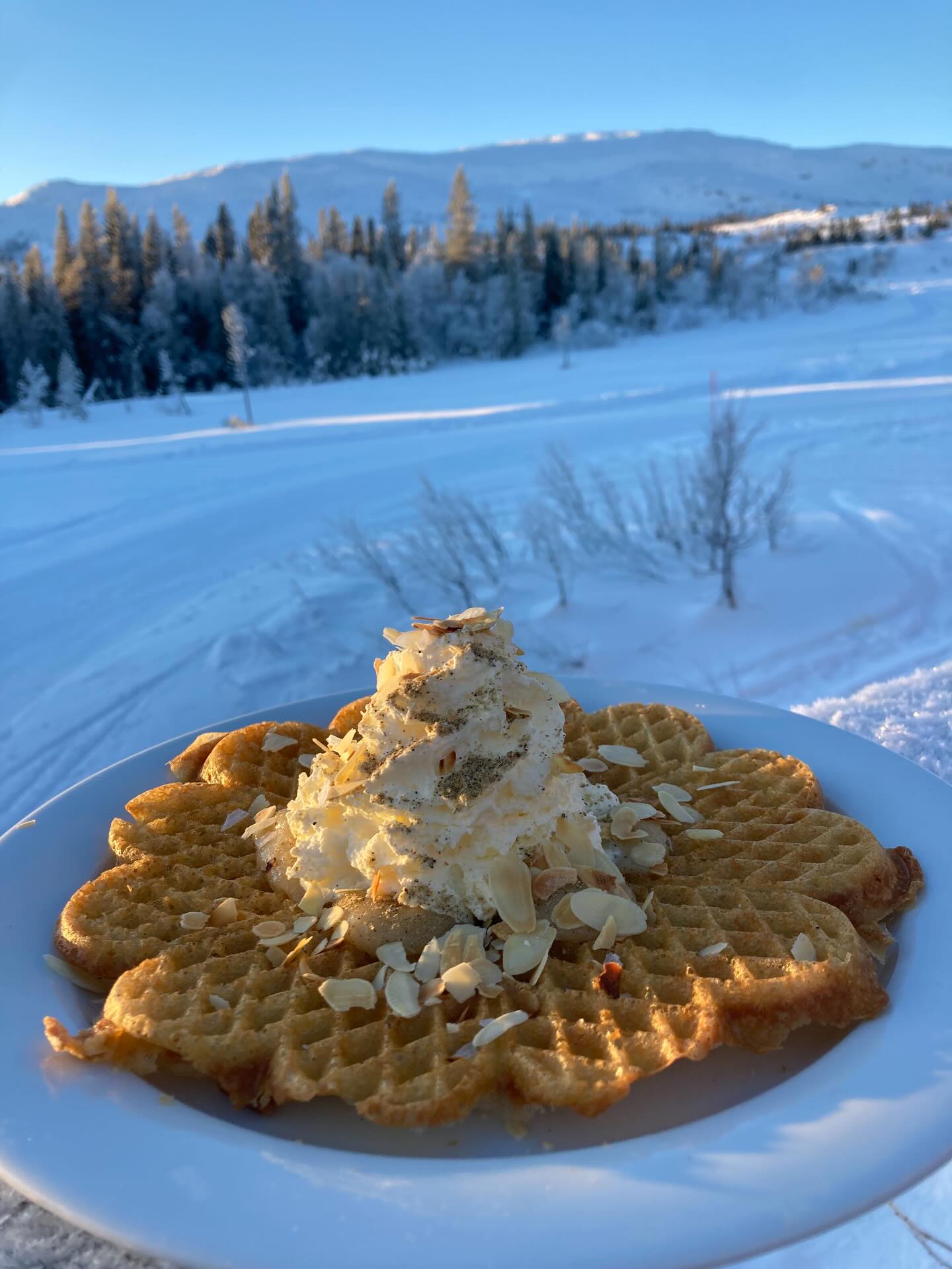 Vår Eva-Lotta kunde inte hålla sig så nu har vi Semmelvåffla på menyn i några veckor 🧇
Matvåfflor med rökt ren, röding och chèvre är såklart på menyn likväl som dagens soppa, matig fralla med västerbottenost el rökt ren.
Öppet dagligen 11.00 - 15.00
Varmt välkommen 😊