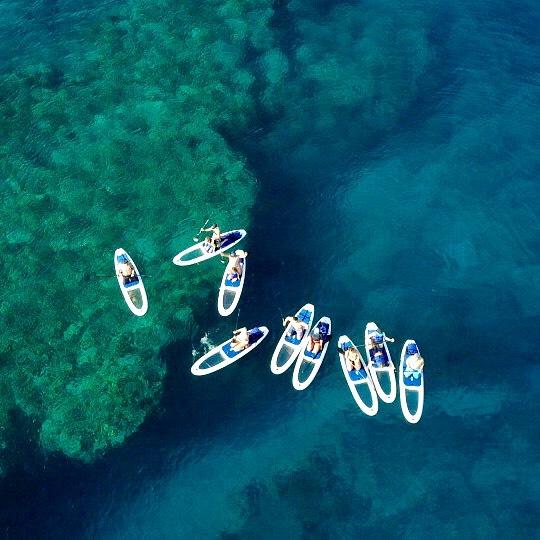 The shelf reef we explore on our Morning Tour in Puako is a next level marine life observation experience. The SUP is included.