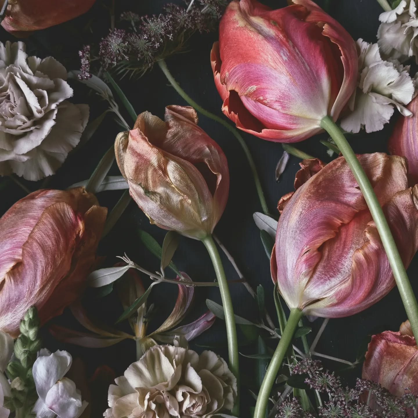 Pääsiäisloma 🥰 aikaa kaikenlaisille puuhille
#photography #flowerlover #tulipa