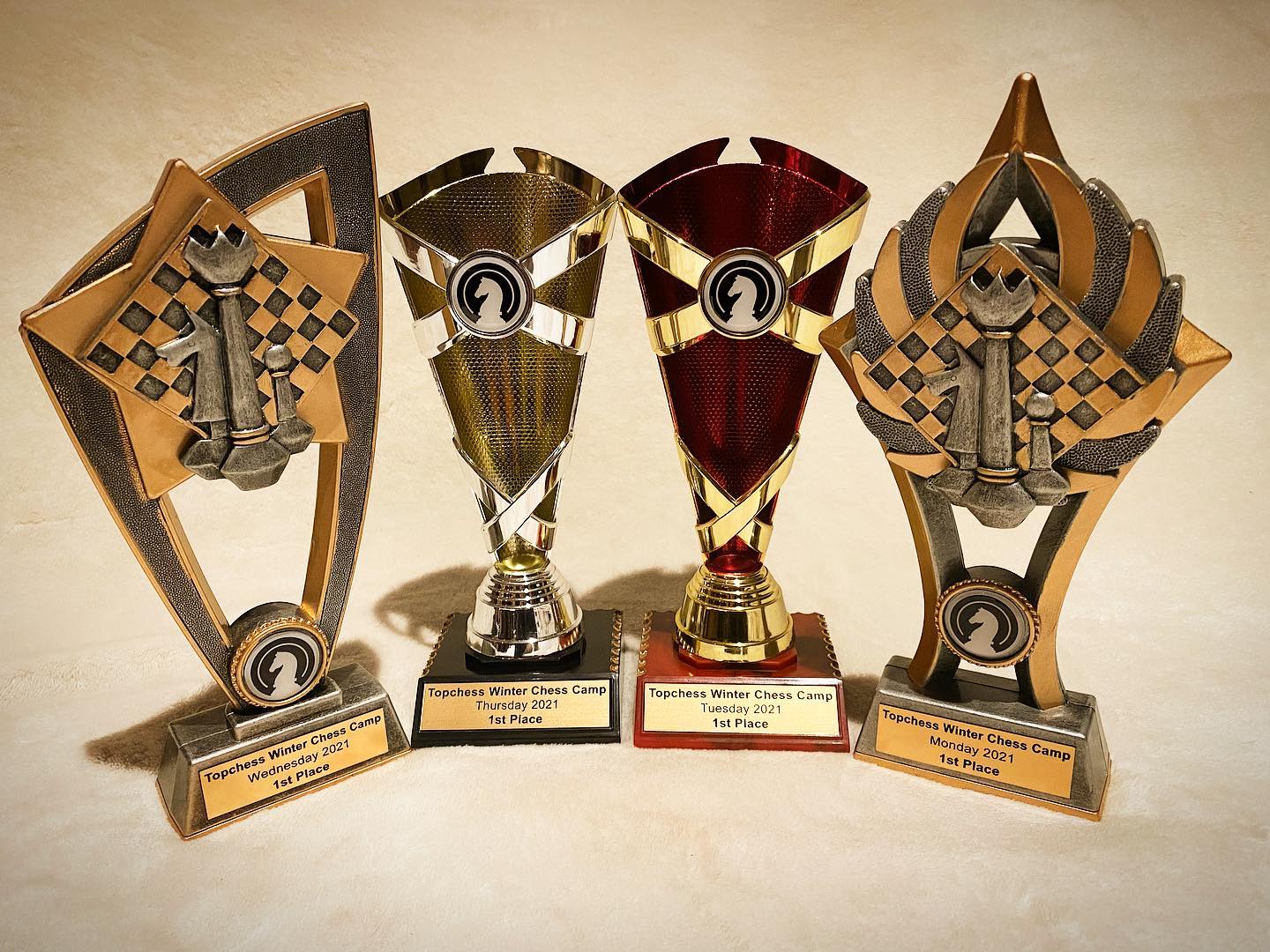 Winter Chess Camp is almost here!!♟⛺️ School holiday program the kids will love: www.topchess.com.au/events