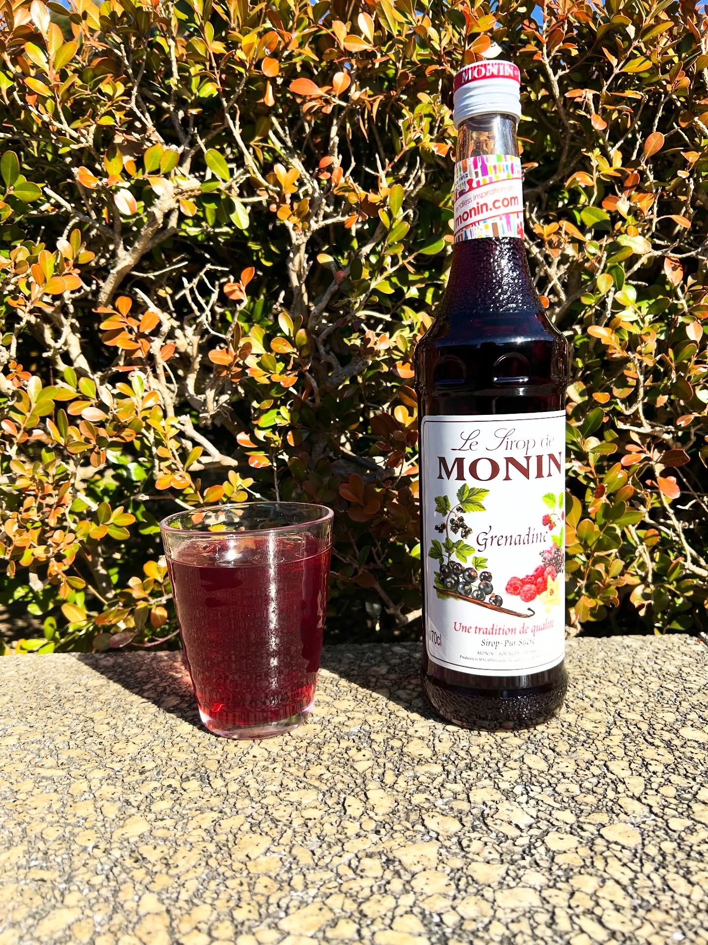 新作のザクロジュースがリリースされました✨
お料理やデザートと一緒にぜひお試しください♪
※在庫切れが発生する場合がございます。予めご了承くださいませ。
【店舗詳細📍】
店名:Arabian Restaurant Cafe&Bar Oasis(オアシス)
ジャンル:中東・アラビア料理/カフェ&バー
エリア:東京・渋谷区(例:千駄ヶ谷・北参道・代々木エリア)
営業時間:【日〜木】11:00〜22:00(L.O. 21:00)
定休日:東京体育館の休館日に準ずる
席数:店内テーブル数17。イス約60〜70席(貸切可/20〜60名対応) テラステーブル数8。イス約20席。
住所:東京都渋谷区千駄ヶ谷1-17-1 東京体育館敷地内プール棟2F
電話:090-6934-0274
【ビュッフェ・コース・パーティー情報】
貸切予約のお客様にパーティープランをご用意しております。(20〜60名に対応。店内とテラスの併用で増加有り。)
シェアしやすく、自分のペースで召し上がれるビュッフェ形式が大変人気です!
社内宴会、忘年会、結婚式の二次会など幅広い用途でおすすめです!
渋谷エリアで“非日常感たっぷりの貸切パーティー”をお探しの方へ。
アラビアンレストラン Oasisでは、20〜40名様での宴会・貸切に対応しています。
店内はランプが灯るアラビアンな雰囲気で、
歓送迎会・女子会・忘年会にもぴったり✨