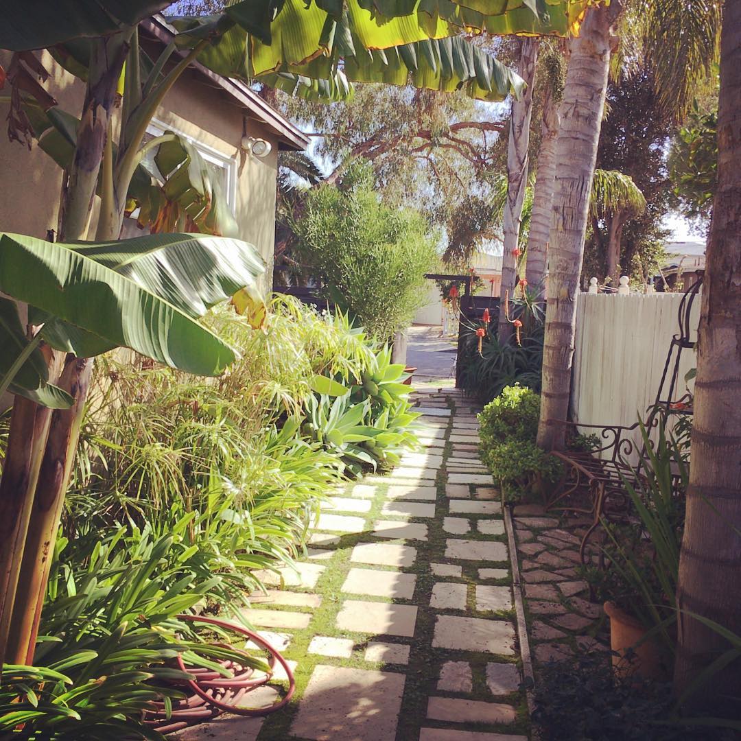 Perfect walkway @717SunsetAve