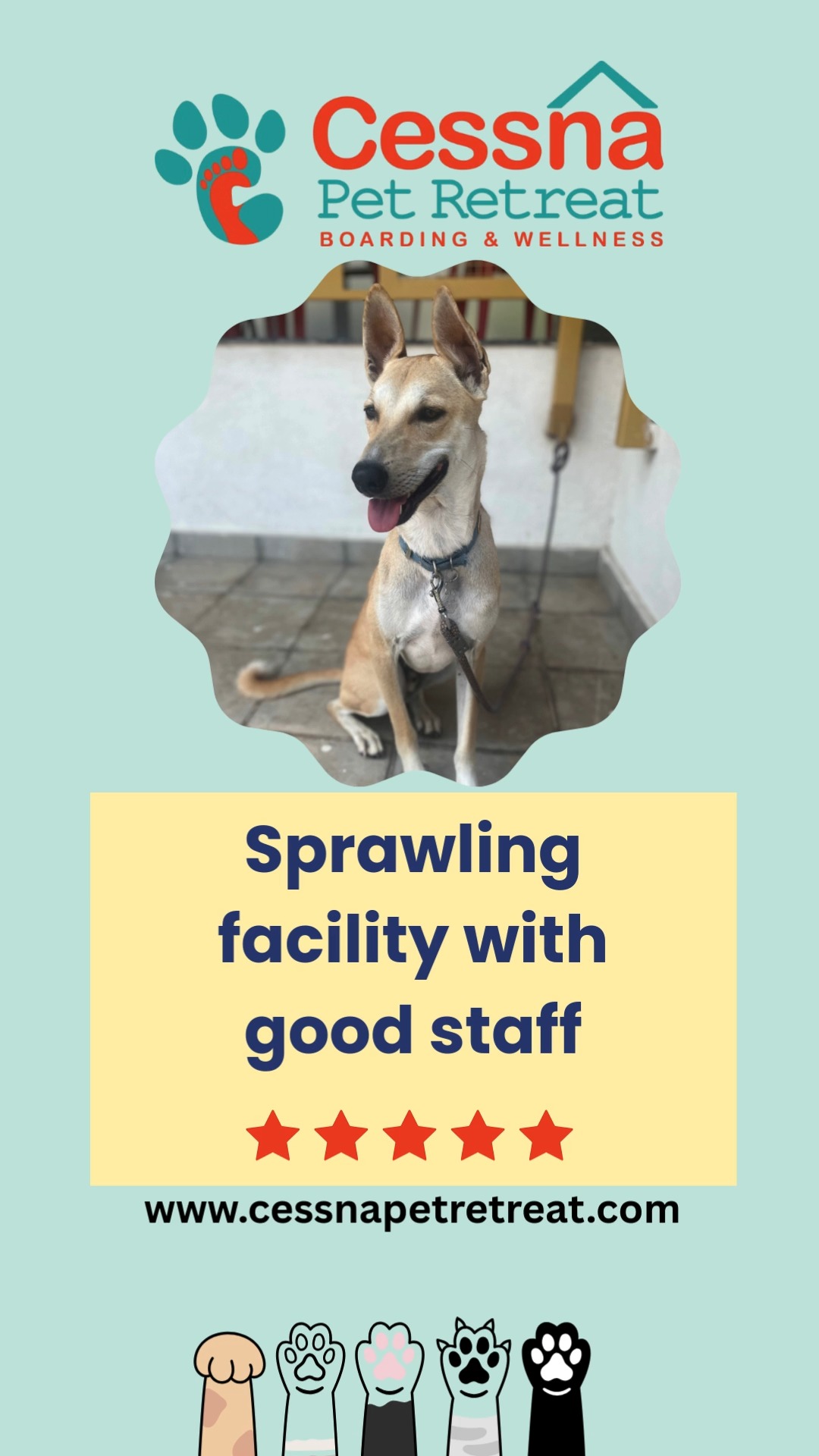 Don’t just take our word for it — our guests (and their humans) have a lot to say about Cessna Pet Retreat!
From the care they receive to the space they enjoy, our reviews speak for themselves. See why pets love their stay.
Visit www.cessnapetretreat.com or call +91 7619 634627 to book your pet’s spot.
#cessnalifelineveterinaryhospital #cessnalifeline #pawesomereviews #petboardingbangalore #dogsofblr #catsofblr #retreatlove #happyboarders