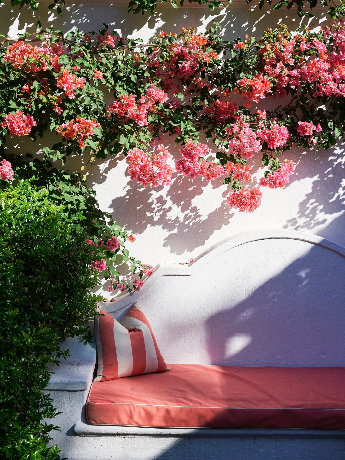 The prettiest pause on La Cotte Farm lives under a cloud of bougainvillea.
.
.
#lacotte #lacottefarm
#restaurant #bouganvillea