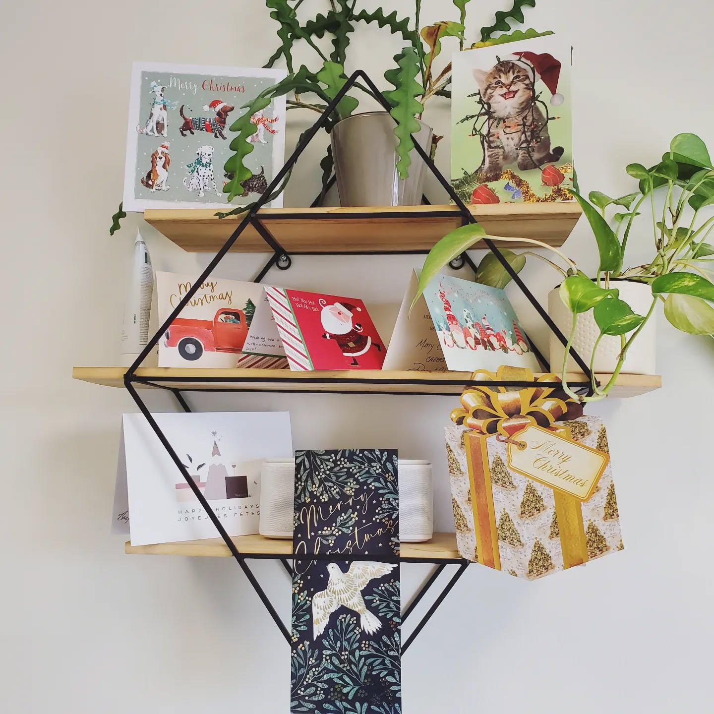 Wishing everyone a very Merry Christmas and Happy Holidays from us here at MoveWell!
Thank you from the bottom of our hearts, to all our amazing clients. You have all been so thoughtful and generous to us.
You are what keeps us going and drives us to be better therapists. We are so grateful for your trust and support!
It's been an amazing year, we welcomed so many new faces! I have to give a shout out to my partner in crime, Jordan. He's been a monumental addition to MoveWell. I can't tell you all the countless comments I get from everyone who comes in about how kind, caring, and knowledgeable he is. He really cares about his clients and our clinic and I am so grateful for all his hard work and support this year! We would not be here without you ❤️
We are now closed until the New Year and taking a little break from the internet to recharge with our furbabies and loved ones. We hope you do too!
Looking forward to seeing you all in 2024! 😊