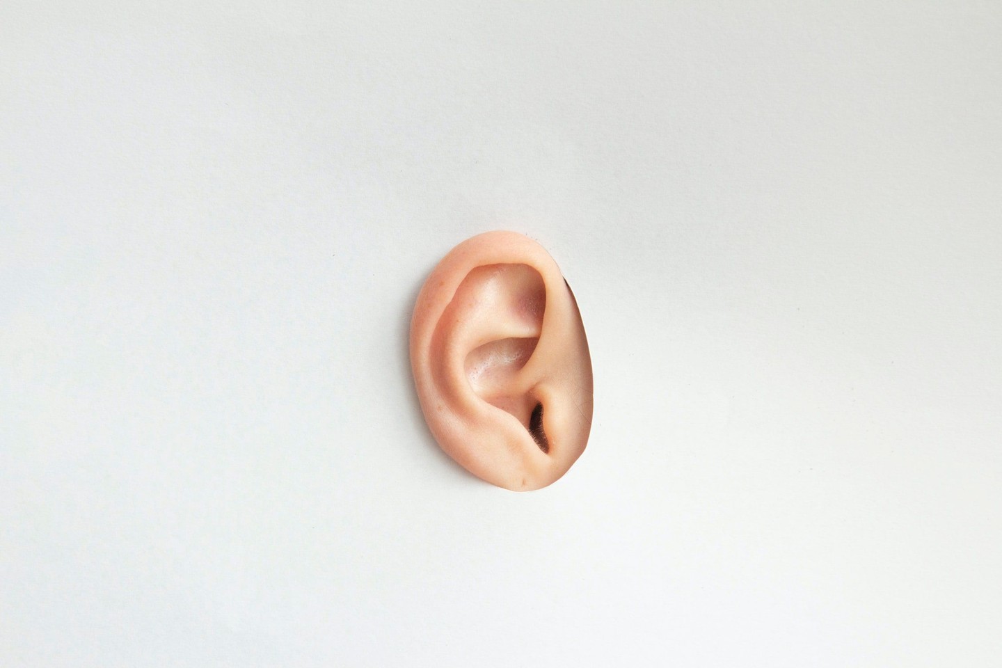 I’m sure you have heard time and time again, that as musicians we need to engage with music in deeper ways than the average person. Essentially there are two ways of listening: passive and active listening. #listeningtomusic #musicblog
https://buff.ly/47nLN6U