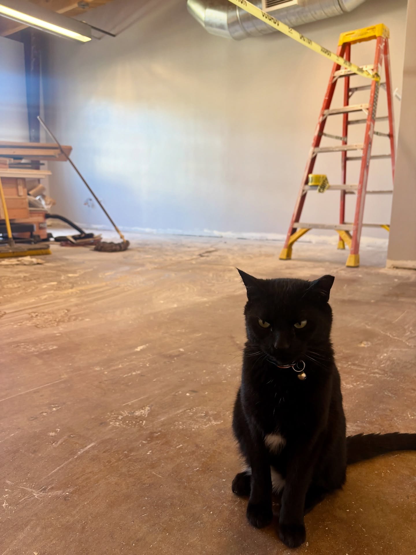 We are renovating a new seating space for our beloved café @barrelandbeancoffee! Our team is working hard to make the café a place where you can work, connect, and have a great cup of coffee. ☺️☕️
This space will be open soon. Follow us for more updates on the space and our special building cat Santi. 🐈⬛♥️
- @barrelandbeancoffee @visitmorganhillca @destination_downtown_mh @mhcoc @buy_local_morgan_hill