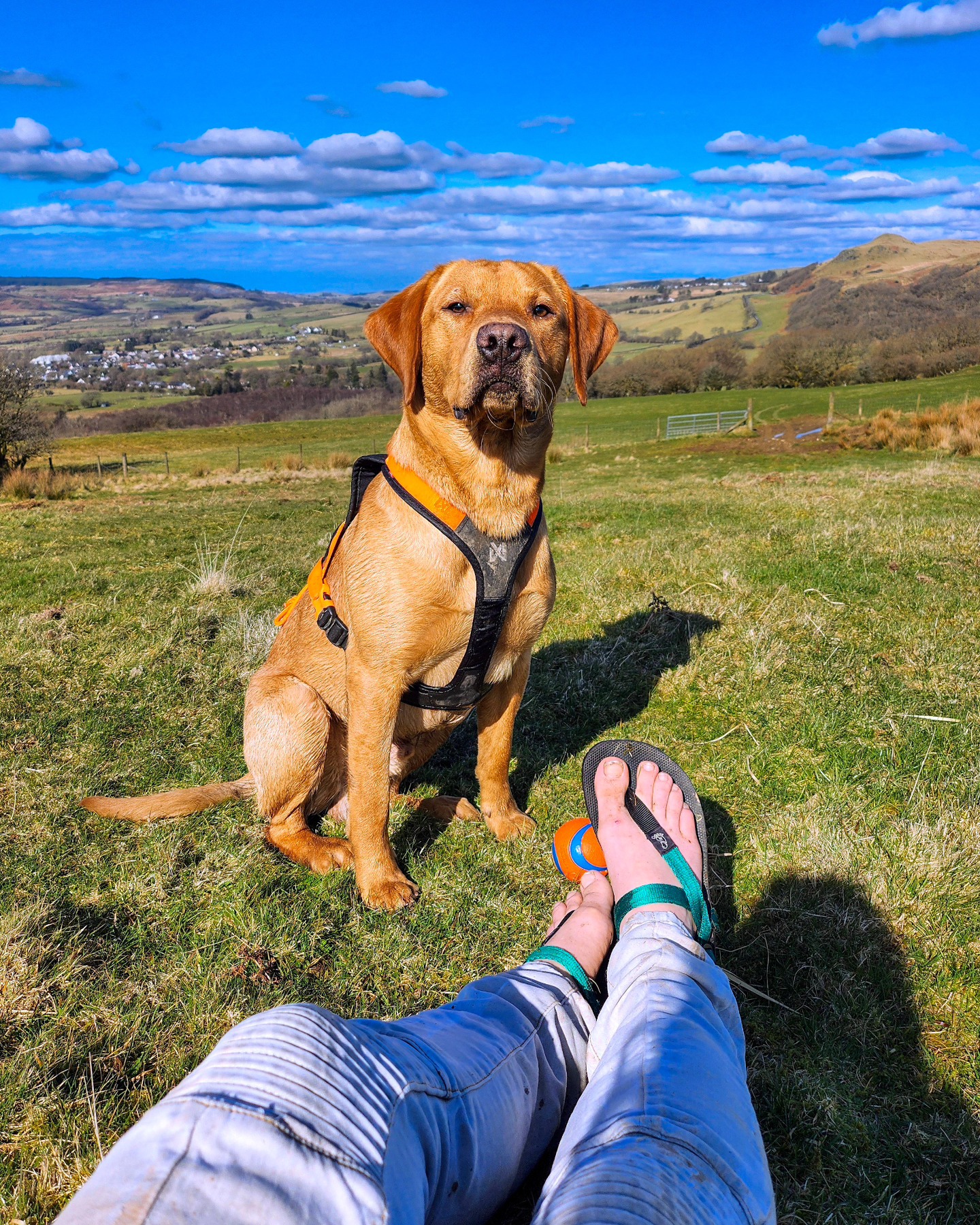 There were a lot of verables I had prepared for dueing the Tunnel, but getting injured was not one of them.
With a suspected torn quad muscle, l found myself forced to do the worst action possible dueing a race; to let go of my ego, and admite defeat.
Failure at some point in your life is inevitable, but failure at the same thing over and over again? That's life telling me to move in a different direction.
It's time to find that different direction.
After 1,340 days of runstreaking, running ends today.