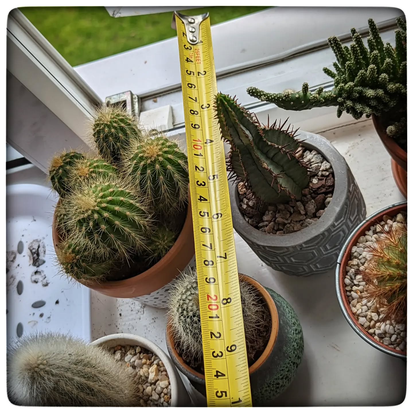 No I'm not measuring my client's cacti!!!
As part of the energy survey we have to measure the thickness of the external walls and ascertain what they are made of and how they are insulated. This allows the software to calculate the rate of heat loss through the wall known as thermal transmittance or U Value
#epc #energysaving #energyperformance #property #cactus #cacti #cactuslove #uvalue