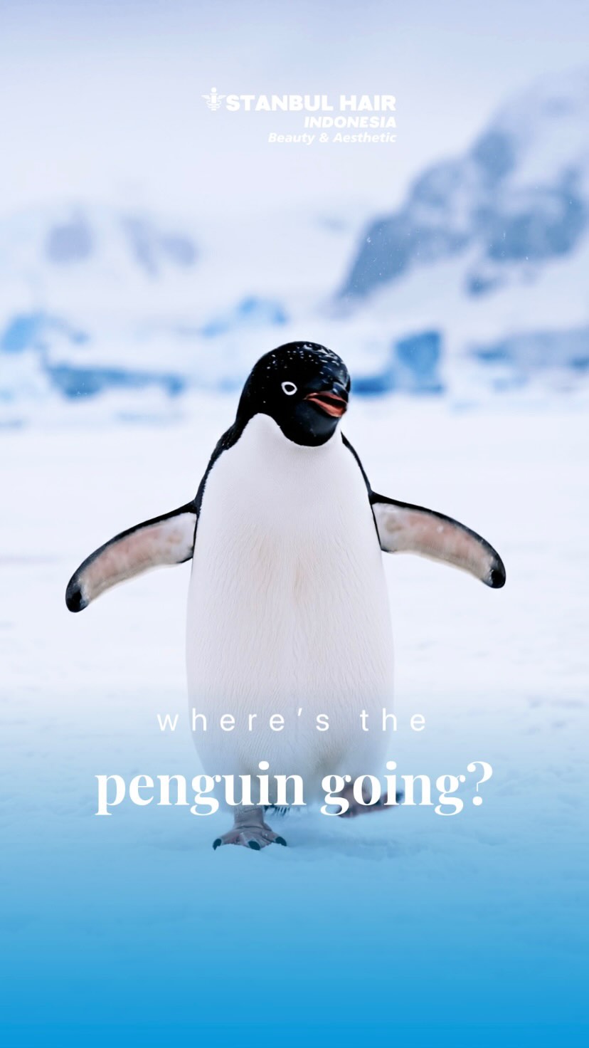 Saat yang lain menunggu,
ada yang memilih melangkah.
Bukan karena alasan.
Karena perubahan dimulai dari keberanian.
Istanbul Hair Indonesia ✨
While others wait,
one chooses to move forward.
No excuses.
Just the courage to change.
Istanbul Hair Indonesia ✨
#BeraniBerubah #LangkahPertama #HairTransplantIndonesia #IstanbulHairIndonesia #TransformasiDiri