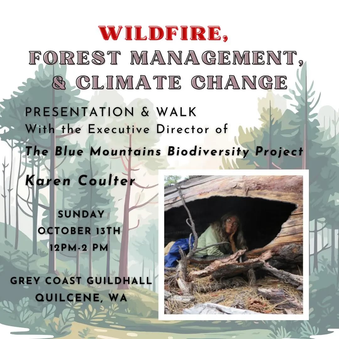 Join us next Sunday October 13th 12 pm - 2 pm in Quilcene for this special presentation: Wildfire, Forest Management and Climate Change.
There is now a growing body of science questioning the assumptions on which the fire risk-reduction rationale for dry forests is based. Yet, the Forest Service and industry have not been acknowledging this scientific controversy. Some grass-roots watchdog groups are working to stop the most ecologically destructive timber sales -- including misguided fuel-reduction projects -- using the legal process. These groups -- including Blue Mountains Biodiversity Project -- are known for hiking and surveying proposed timber sales and helping to keep thousands of acres of forestland from being clear-cut.
Karen Coulter, founder of the Blue Mountains Biodiversity Project, has been fighting to defend and restore forests on public lands for over 30 years. She advocates across five national forests in Oregon for old growth and ecological diversity and integrity, and against threats like logging, road building, livestock grazing, herbicide use, and mining.
For more info about this event, DM us or email southsound@c4rf.org. Hope to see you there!
#saveoldgrowth #theolympicpeninsula #WorthMoreStanding #washingtonstate #stopoldgrowthlogging #oldgrowth #conservation #forestdefenseisclimatedefense #saveoldtrees #climatechange #protectlegacyforests #climateaction