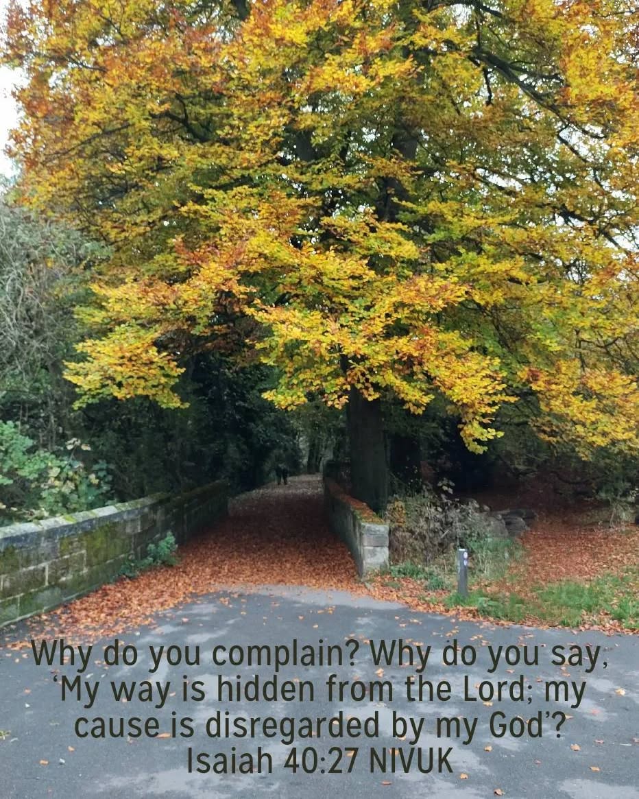 Do you not know? Have you not heard? The Lord is the everlasting God, the Creator of the ends of the earth. He will not grow tired or weary, and his understanding no-one can fathom. He gives strength to the weary and increases the power of the weak. Isaiah40.28-29
This path under the trees appeared to be a beautiful autumnal route, ideal for kicking fallen leaves! But it wasn't. What you can't see is that the tarmac stops and turns into a rutted, broken, half gravelled path. Pushing an adult in a wheelchair across it proved quite perilous. We grew weary - it was a long path - but I was reminded that, whenever the ground beneath us becomes difficult, God leads and strengthens us. Even when we complain, want to turn back, or wish ourselves anywhere else but here. He remains steady. Loyal to us. Guiding the way.
#followgodspath #roughpath #godsway
