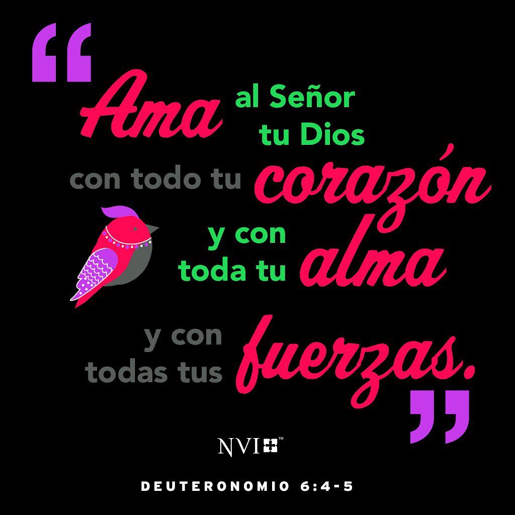 ❤️LOVE❤️ this artwork 🦜—and the thought! And here’s a hymn from the #ChristianScience hymnal that expands on the concept:
.
Take my life, and let it be
Consecrated, Lord, to Thee.
Take my moments and my days,
Let them flow in ceaseless praise.
Take my hands, and let them move
At the impulse of Thy love.
.
Take my feet, and let them be
Swift and beautiful for Thee.
Take my voice, and let me sing
Always, only, for my King.
Take my lips, and let them be
Filled with messages from Thee.
.
Take my every thought, to use
In the way that Thou shalt choose.
Take my love; O Lord, I pour
At Thy feet its treasure store.
I am Thine, and I will be
Ever, only, all for Thee.
—Christian Science Hymnal, #579
.
#loveGod #amadios #dedication #dedicacion #heart #corazon #heartsoulstrength♥️🎚🙏🏽 #firstcommandment #versiculosbiblicos #versiculosdiarios #verseoftheday #bibleverseoftheday