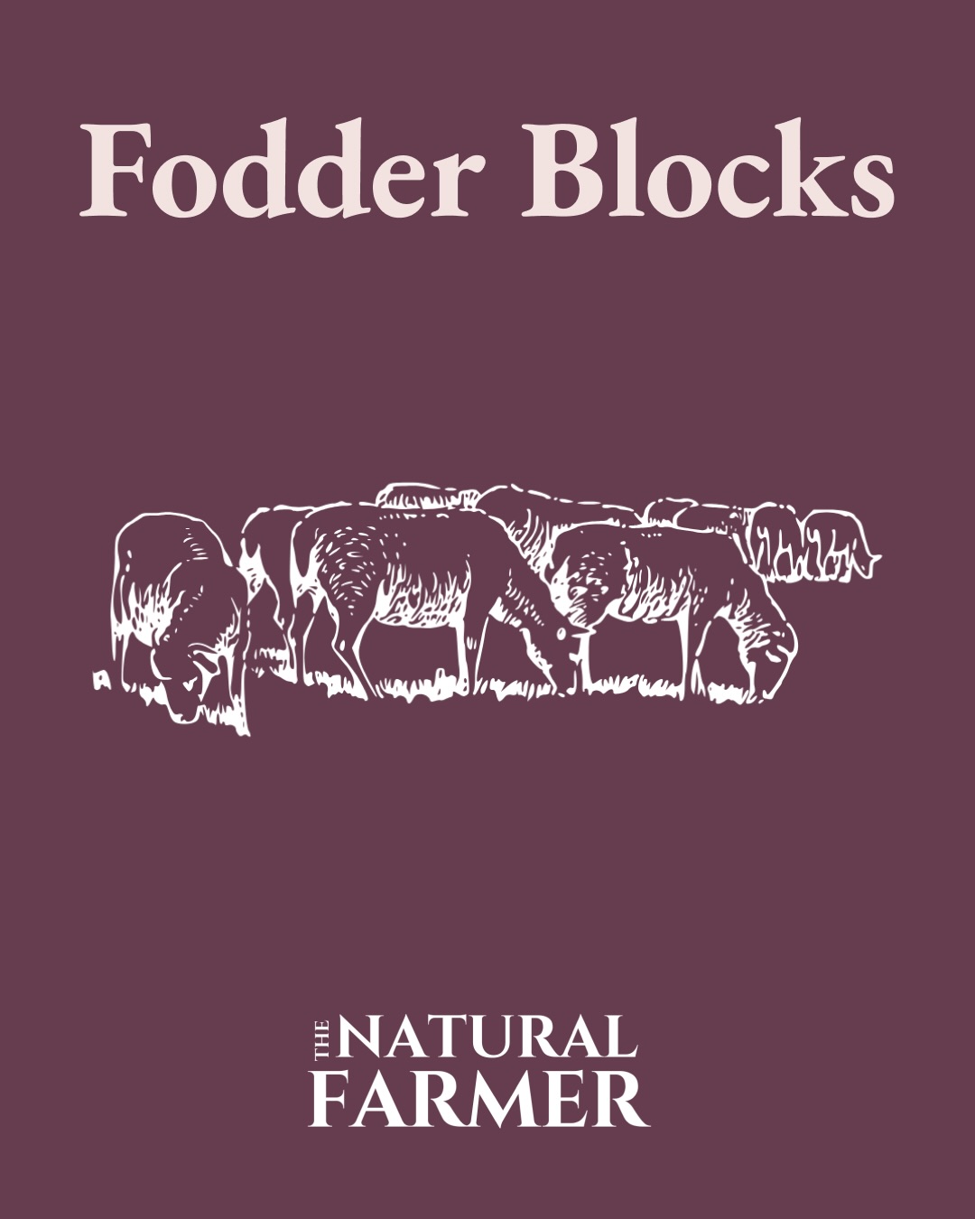 🌳Today’s post is all about Fodder Blocks! Fodder blocks are dense plantings of trees that provide a supplemental and emergency feed source for small ruminant animals like sheep or goats.
💚Fodder blocks can also shade and shelter animals, reduce erosion, shade the soil, manage water runoff and riparian areas, and much more! We have found many farms starting to incorporate them into their resiliency planning.
🌿We are excited to share this post as part of our “Learning Together” series! Do you have a topic you want us to cover? Are you a NOFA member and want to collaboarote on a future educational post? Drop us a DM and we’d love to hear from you!
☀️A regenerative future is calling on us all to work and learn together.
❄️We hope everyone is staying warm and we will see you soon!
.
.
.
#NOFA #OrganicFarming #RegenerativeAgriculture #TheNaturalFarmer #TreeFodder
This post also covers topics related to farming with trees, tree hay, and rotational grazing.