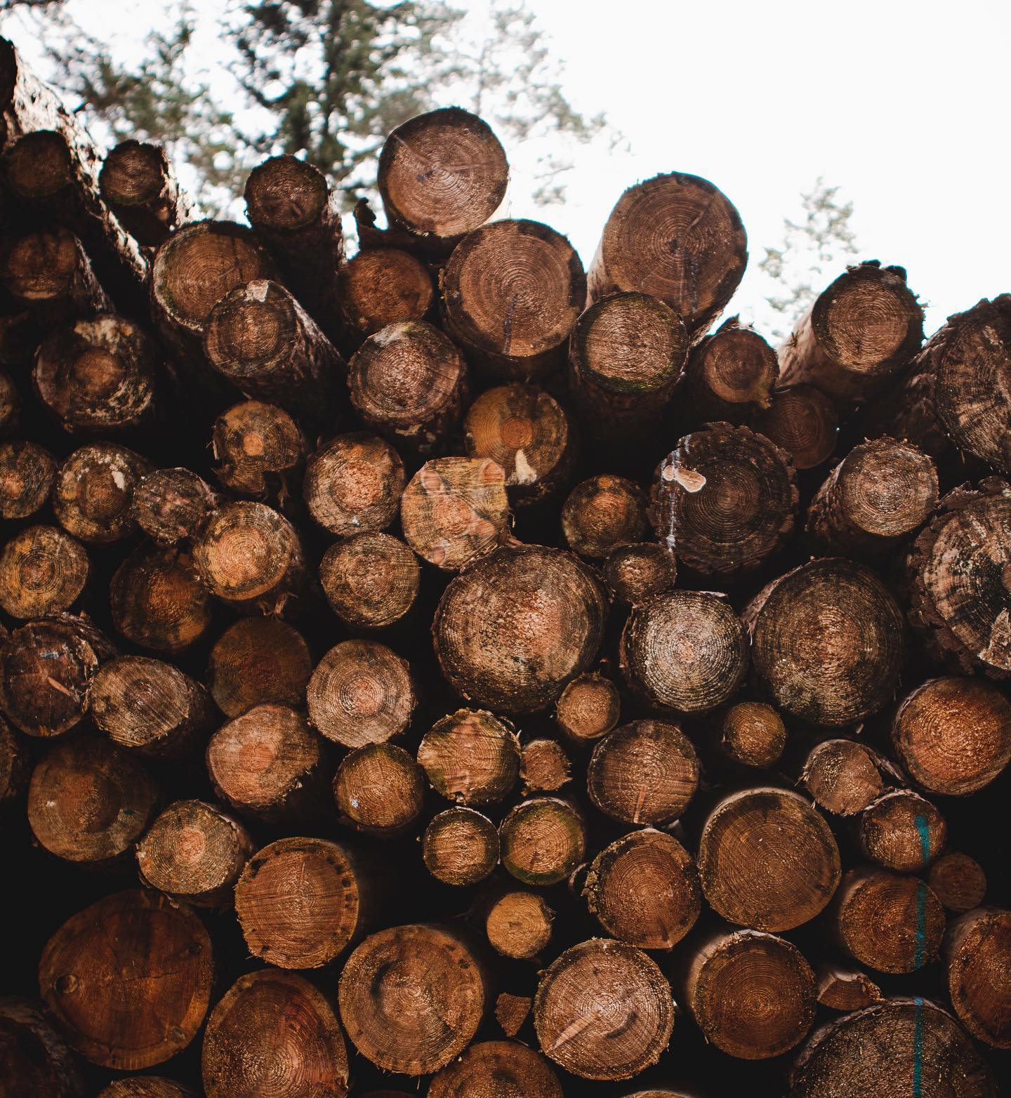 Hast du heute schon kurz alles bei Seite gelegt, innegehalten und einfach eine Minute tief durch geatmet? Wenn nein, mach es doch jetzt!
Bild: @lisas_landscapes
#taichi #qigong #healthylifestyle #rausausdemalltag #gesundheit #persönlichkeitsentwicklung #inspiration #lebenimjetzt #lebensfreude #achtsamkeit #entspannung #achtsamleben #sportzuhause #ausgleich #auszeit #auszeitvomalltag #innerebalance #durchatmen #ausgeglichenheit #taichideutschland #qigongdeutschland #taichiqigong #gesünderleben #gesunderlebensstil #positivevibes #stressbewältigung #selbstliebe #körperbewusstsein