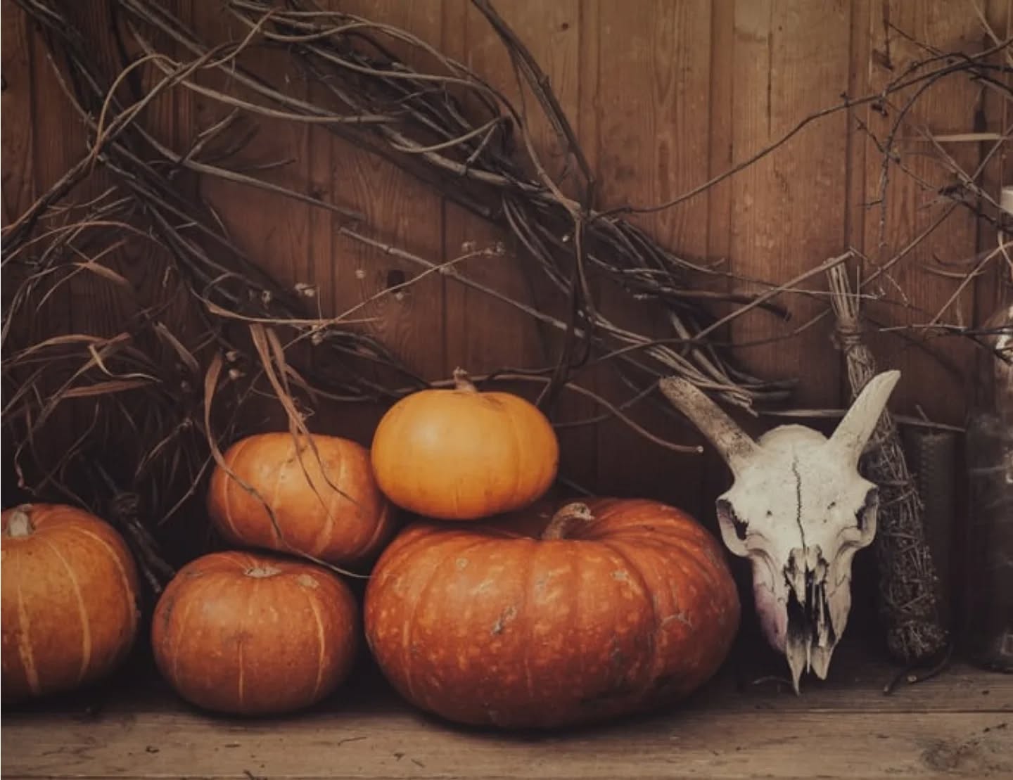 When it comes to Halloween, there’s much more to it than costumes and candy! Our latest blog, A Truly British Halloween, takes you on a journey back to the ancient Celtic festival of Samhain, where Halloween’s roots truly lie. Uncover the traditions of bonfires, “souling,” and more, which have shaped Halloween in the UK over centuries.
Whether you’re carving pumpkins, attending a bonfire, or looking to celebrate in a way that’s connected to nature, our guide will add a touch of authentic British history to your festivities.
Read on and make this Halloween a truly memorable one! See link in bio.
Happy reading...
#halloween #britishhalloween #learnenglish #fordlearning # britishculture