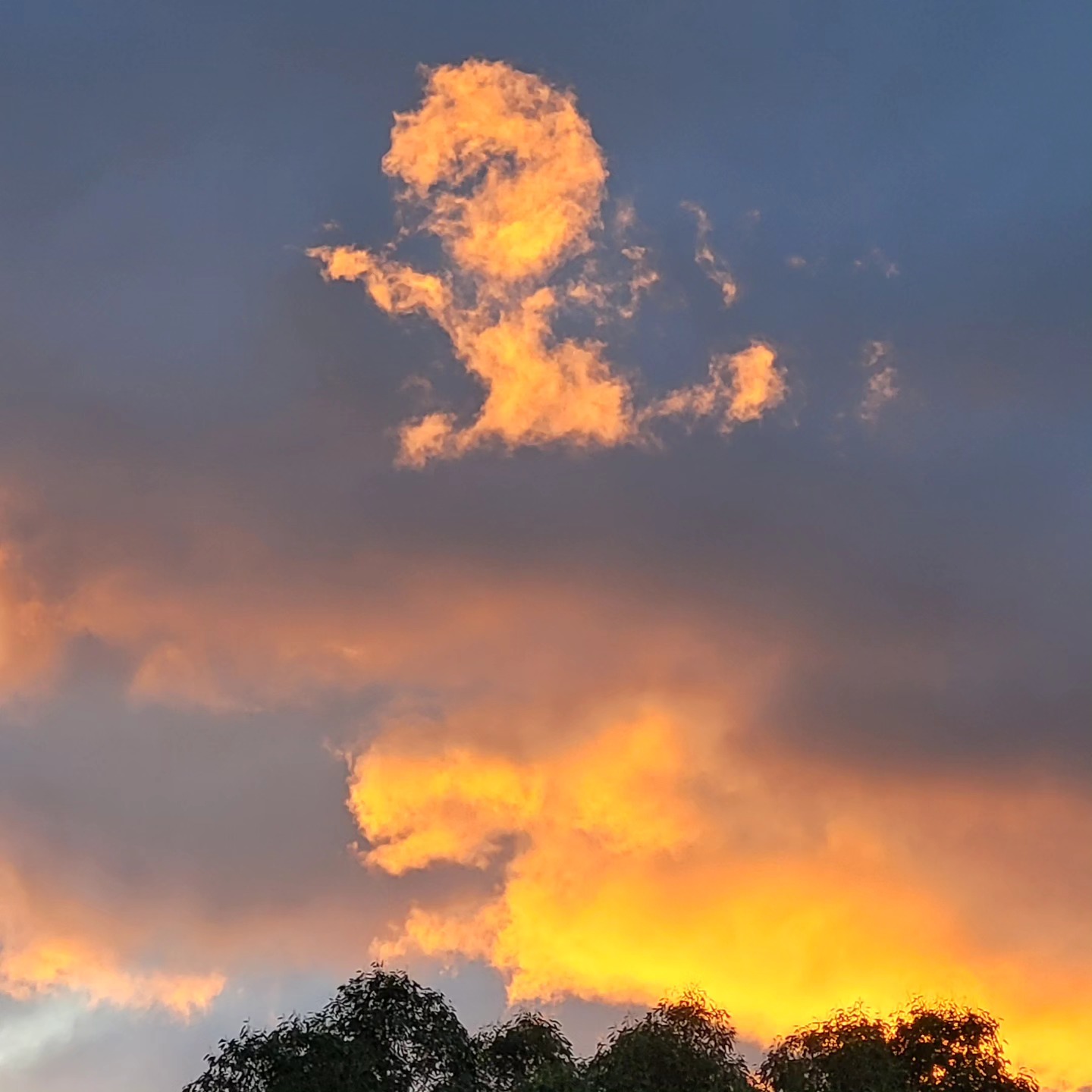 A lion shows up one brilliant evening at sunset here at Mountain Spirit in New Zealand.
It showed up within minutes of an unusual shadow appearing on our local "totem' in the valley behind us. We consider it the spirit tower, or power place of our little world here. See the adjancent post for that image.
@purenewzealand #newzealand #wanaka #lovewanaka @wanaka #mountainspirit #meditation #retreats #yinyoga #experientialeducation