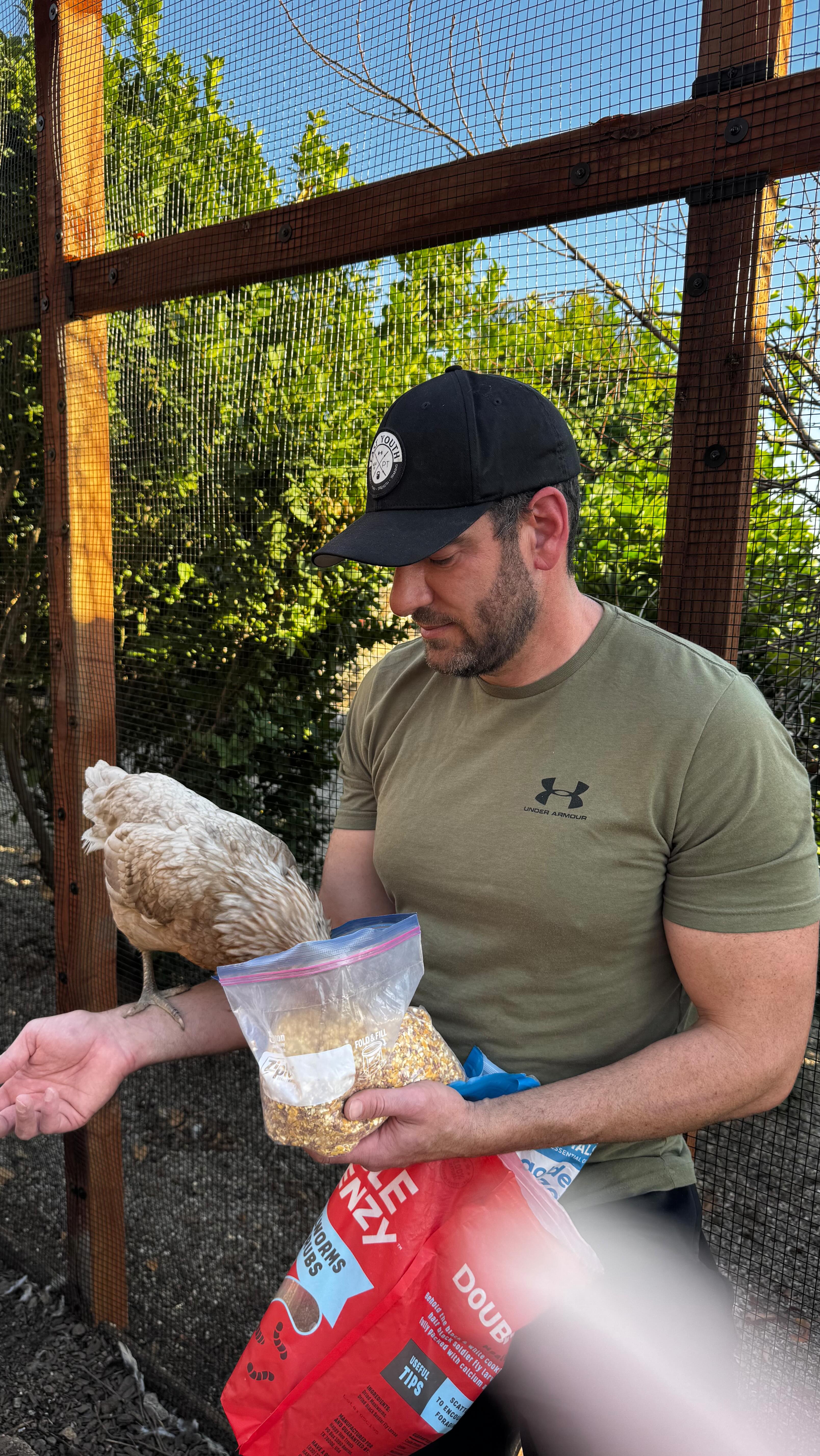 Jonathan is the official chicken whisperer around here. All the ladies follow him like he’s their personal rooster. The second they spot him, they’re lined up at the door, patiently waiting for treats. Sugar has even started flying onto his arm to eat straight out of the bag—zero shame.
At this point, I’m not sure who’s trained who, but everyone’s happy, well-fed, and highly entertained… especially me.