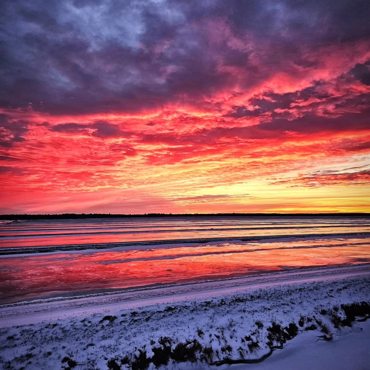 Goodmorning!! What a sunrise!
#sunrisephotography
#cranberries #cranberryfarm #eagleriverwi