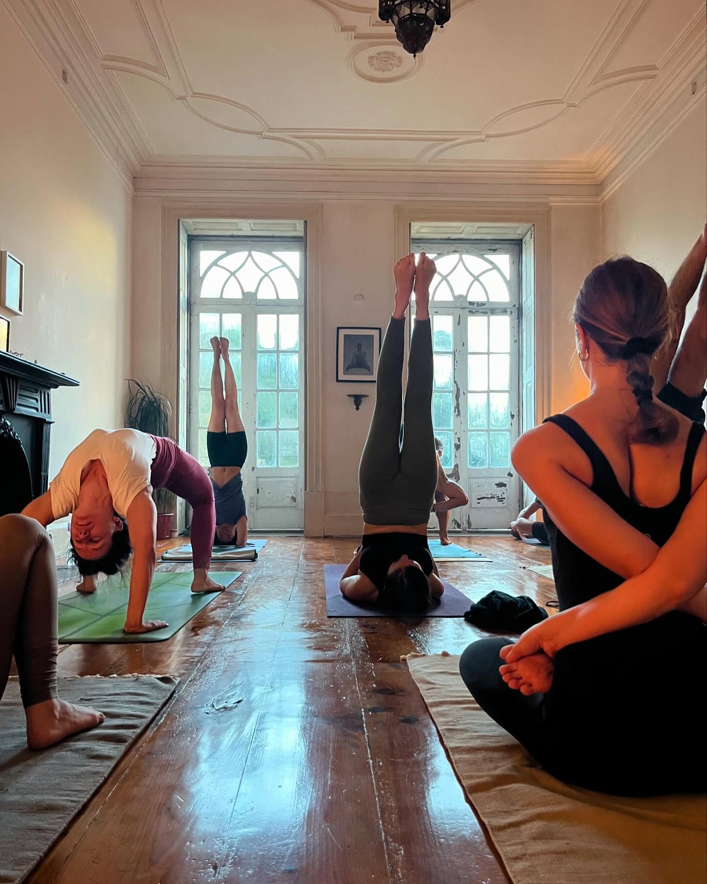 Esta Sexta-feira dia 1 de Novembro, é dia de Lua Nova, dia de descanso da prática de asana, e por isso não haverá aula Mysore ou qualquer outra aula/ atividade extra. 🌙
A Lua Nova é sempre um período de renovação, uma oportunidade de plantar as tuas sementes e transformar a tua jornada. Lembra-te: toda a transformação traz renovação e oportunidades de crescimento.
• É na Lua em Escorpião que nos recordamos da importância das emoções como guia do inconsciente para o consciente. Aqui, sob a energia deste signo, somos relembrados de que toda a cura emocional, todo o desejo de renascimento e regeneração, só é possível quando olhamos para as verdades visíveis e ocultas. Esta Lua Nova é esse convite a olhar para dentro e a analisar a desarrumação interior para podermos renascer. ✨🙏🏻
#ashtangayoga #newmoon #yoga #mysorepratice #yogapractice #ashtangayogaporto #newmoonintentions #yogainspiration #moonday