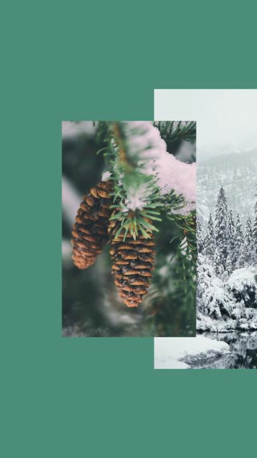 In montagna l’inverno è pura energia.
C’è quella che esplode tra curve, salti e velocità…e quella che scorre lenta tra passi, neve fresca e silenzi. Due ritmi diversi, un’unica passione che si accende.
Tu da che energia ti lasci trasportare?
🏔️ ✨ 🏔️ ✨ 🏔️ ✨ 🏔️ ✨ 🏔️ ✨ 🏔️ ✨ 🏔️ ✨ 🏔️ ✨ 🏔️ ✨ 🏔️ ✨
In the mountains, winter is pure energy.
There’s the kind that explodes through turns, jumps, and speed…
and the kind that flows slowly through footsteps, fresh snow, and silence.
Two different rhythms, driven by the same passion.
Which energy carries you?
#activity #sport #sportsphotography #sportlife #snow #mountains #snowboards #sciare #seggiovia #energy #energia #adrenalina #silence #slow #fastlife