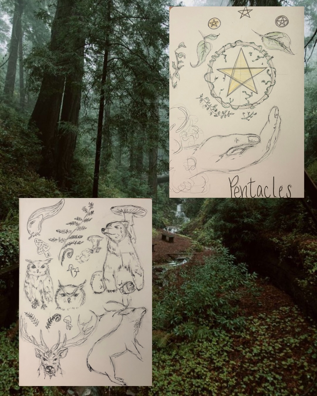 🗡️✨Concept sketches for the Minor Arcana are ready to go! now for the Major Arcana..