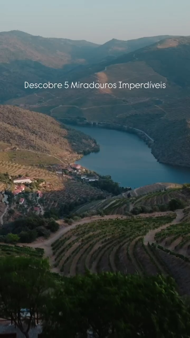 Respirar fundo.
Olhar longe.
Viajar devagar.
Trás-os-Montes e Alto Douro têm isso — uma forma diferente de fazer tempo. Entre miradouros que mostram a imensidão da região, olivais prateados que cobrem vales inteiros e patrimónios que resistem ao tempo.
Fizemos uma seleção de 5 miradouros imperdíveis. Aqueles onde vale a pena chegar, parar e ficar.
Porque há viagens que não são sobre a quantidade de lugares que vês, mas sobre a qualidade do que sentes.
🫒 Descobre os 5 no link da bio
#slowtravel #trasosmontes #altododouro #miradourosportugal #azeiteanorte #portugalautêntico #viajardevagar #olivoturismo #turismorural #portugalescondido #paisagensportuguesas #nordesteportugal #visitportugal #portugalhidden #naturezaportuguesa #viajarportugal #escapadinasportugal #turismoportugal #explorarportugal #portugaltravel #travelportugal #hiddenportugal #authenticportugal #slowtraveler #portugalnature #viajesporportugal #portugalautentico #viajarsinprisa #turismorural #paisajesdeportugal