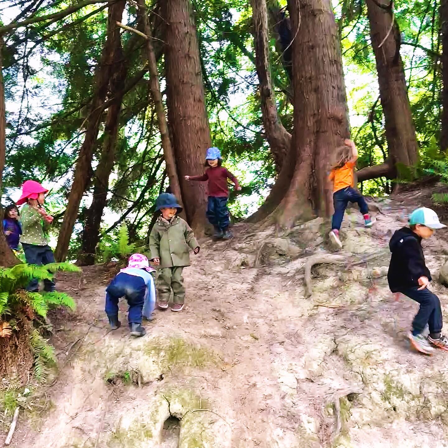 Coined āthe mudcliffs,ā this dreamy natural playscape is one our group can rarely pass up. The energy clicks up a notch hereā¦steep, bumpy, up, down, over, under, around and through. This was a dry day so it was fun to explore a slightly different terrain. On the wetter days, this spot is very true to its name.Ā
.
.
.
.
.
#forestschool #forestpreschool #childrensartstudio #wildspaces #outdoors #outdoorkids #outdooreducation #outdoorlearning #optoutside #naturebasedlearning #wildschooling #rewildyourchild #classroomwithoutwalls #cedarsongway #placebasededucation #natureschool #natureplay #naturekids #pnwkids #pnwkids_washington #olympia #olympiapreschool #olympiawashington #pacificnorthwest #wildandfreechildren #interestledlearning #learnwiththeland #ancientfuturespbe