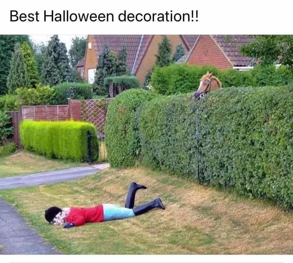 Hope everyone had an amazing Halloween yesterday!!!