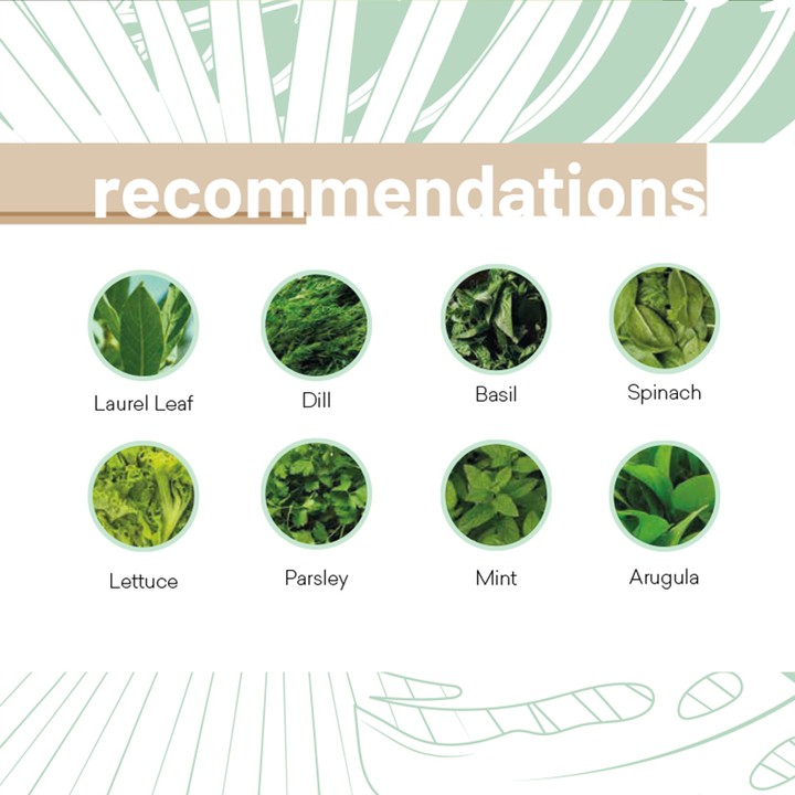 Designed for home and restaurants; With a growing cabinet, it allows you to present many products to your table in the freshest form.
Excellent greens are obtained with high-quality LED chips, ideal photosynthesis conditions with full spectrum.
It has a special design with a static painted aluminum body, a stainless water tank and a wooden structure. 5 Plants can be grown at a time.
#ledgrowlights #indoorgardenkit #LED #horticulture #bilimselyetiştiricilik #greenhouse #growlights #evdebitki #spectbee #hydroponicfarming