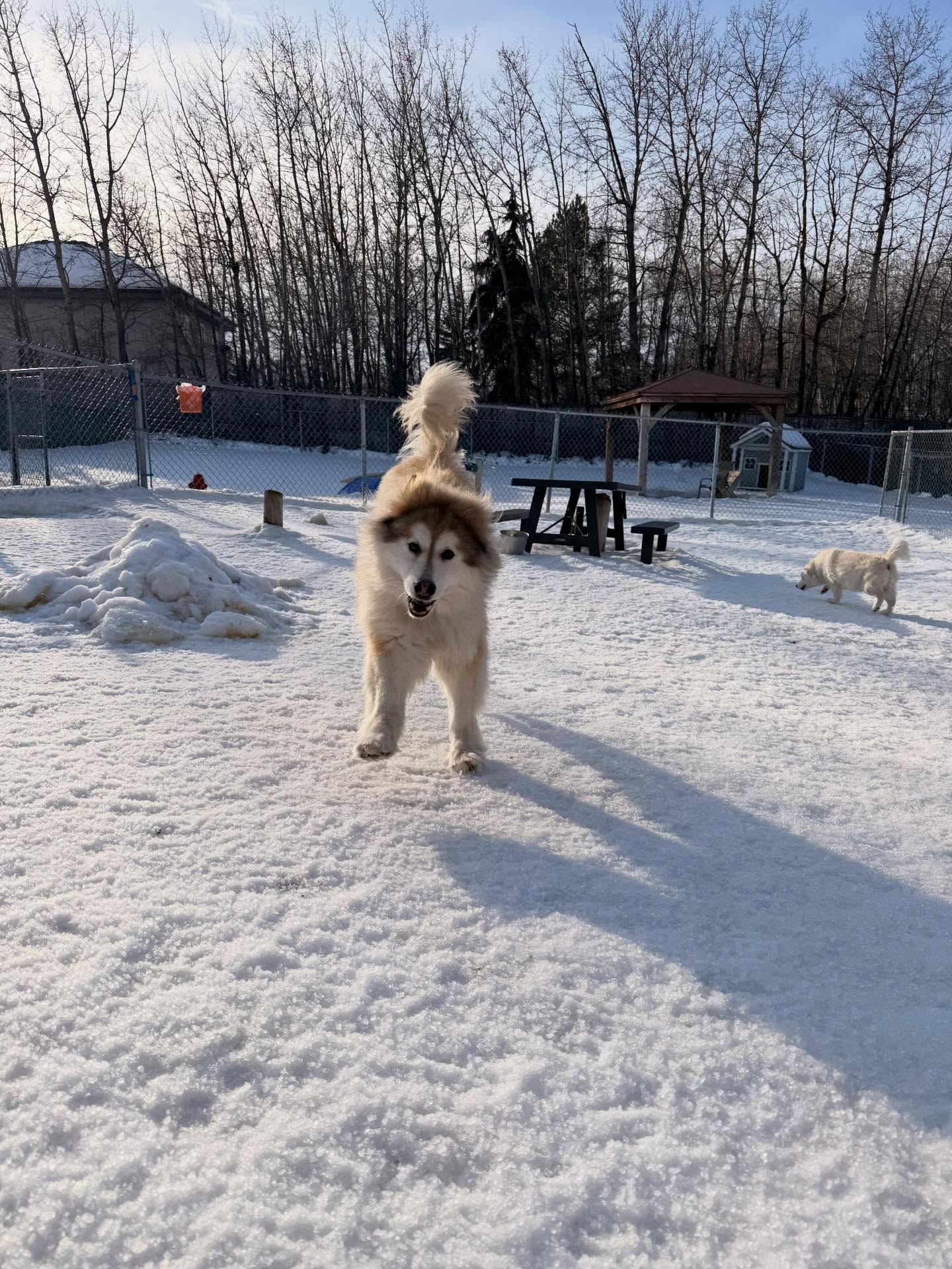 When it’s only February but feels like Spring 🎉☀️