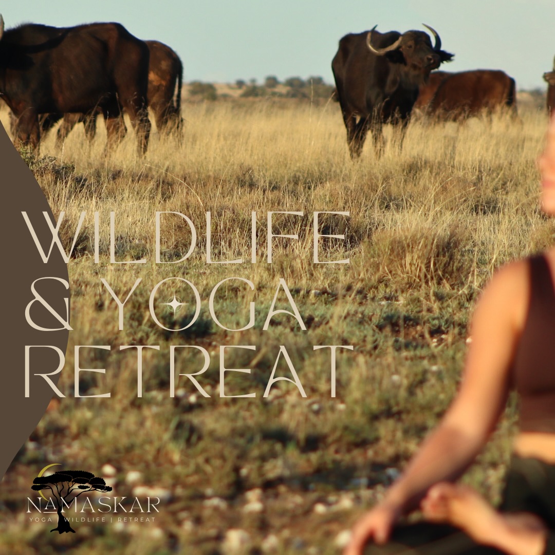 ✨ A little update from Namaskar ✨
One of the things we care about most is creating retreats that feel supportive, spacious, and realistic. So after receiving feedback from our community, we’ve made a change to how our retreats are structured
What’s new?
Namaskar retreats are no longer fixed-length experiences.
They now run over a set date range, and you can choose how long you stay within that window.
Pricing is now per person, per night 🌙
This means:
• you choose your accommodation
• you choose how many nights you stay
• your total cost is simply based on that
There is a minimum stay of 5 nights (to allow time to truly settle and unwind), and you’re very welcome to stay longer if you feel called to.
For example, our March retreat now runs 22–31 March, giving you the freedom to join us for a shorter reset or a longer, more immersive stay whatever suits your needs, timeline & budget.
If you’d like more details or a copy of the brochure, feel free to DM me 🦒