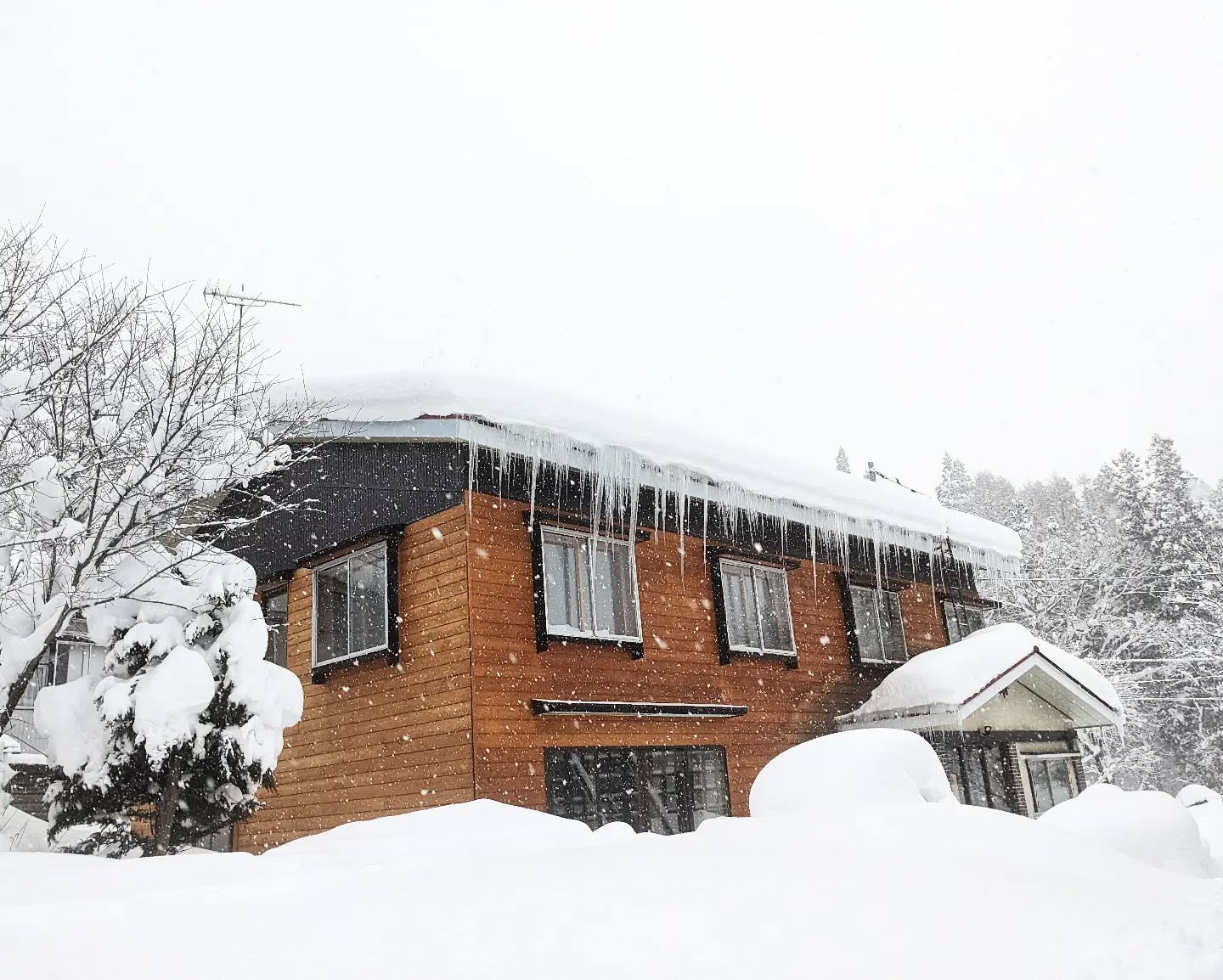 It's the end of January and the snow fariys have delivered! 😇 We have availability from march, contact us it you would like a discounted rate🥳
Whether it's a guided day or choosing your own adventure, leverage our decade of experience riding the good stuff in the nagano/niigata region. 🤙
All bookings @gozanlodge.myoko include buffet, gourmet European breakfast, 3 course dinner and onsen pass to our neighboring naena onsen 🙏😋
Get in contact via our site http://gozanlodge.jp or via DM
.
.
#gozanlodge #suginohara #sugi #akakura #ikenotaira #snowboarding #skiing #japanbackcountry #myokokogen #japow #sekionsen #splitboarding #nozawa #madarao #lottearai # #niseko #hakuba #nozawa #杉ノ原スキー場 #妙高 #妙高高原 #雪山 #スノーボード #バックカントリー