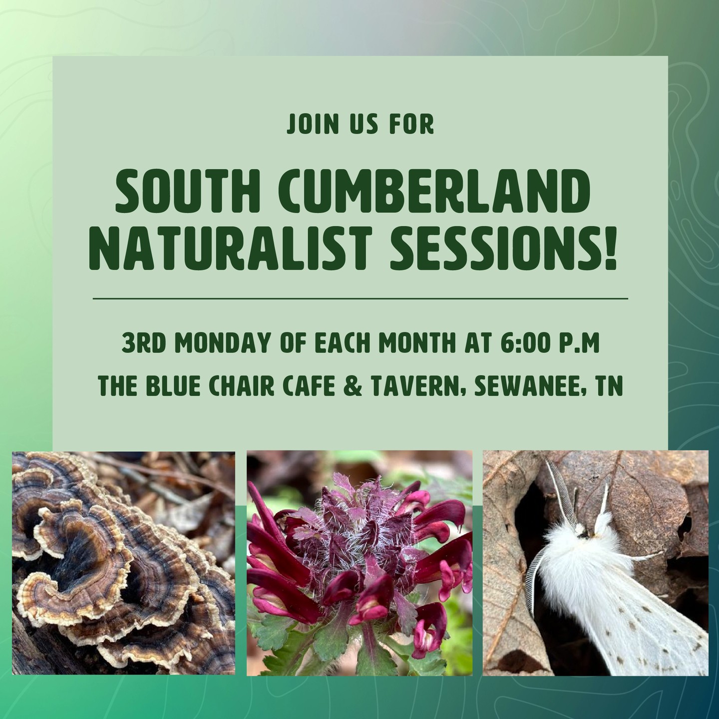 📅 When: Monday, November 18th at 6:00 p.m.
📍 Where: The Blue Chair Cafe & Tavern, Sewanee, TN
💵 Cost: Free! Just show up—no sign-ups required!
We’re thrilled to have Dr. Jon Evans as our guest speaker, sharing the fascinating story behind the recent discovery of a brand-new plant species! 🌱
Don’t miss this final session of the year—we’ll take a break in December but look forward to gathering again in January!