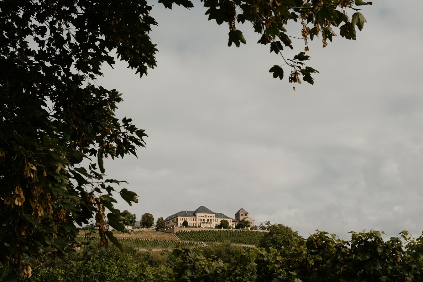 Late summer wineyard wedding in Schloss Johannisberg 🤍 This one was an adventure to coordinate, due to changing weather conditions all morning, but the day turned out beautifully and the energy was on peak! 💫💫
Photo: @photosbyrachelwood
Venue: @schlossjohannisberg
🪩www.ajaweddings.com
💌info@ajaweddings.com
#weddinginspiration #blacktiewedding #verlobt #ajaweddings #rheingauhochzeit #hochzeit #hochzeitsplaner #rheingau #schlosshochzeit
